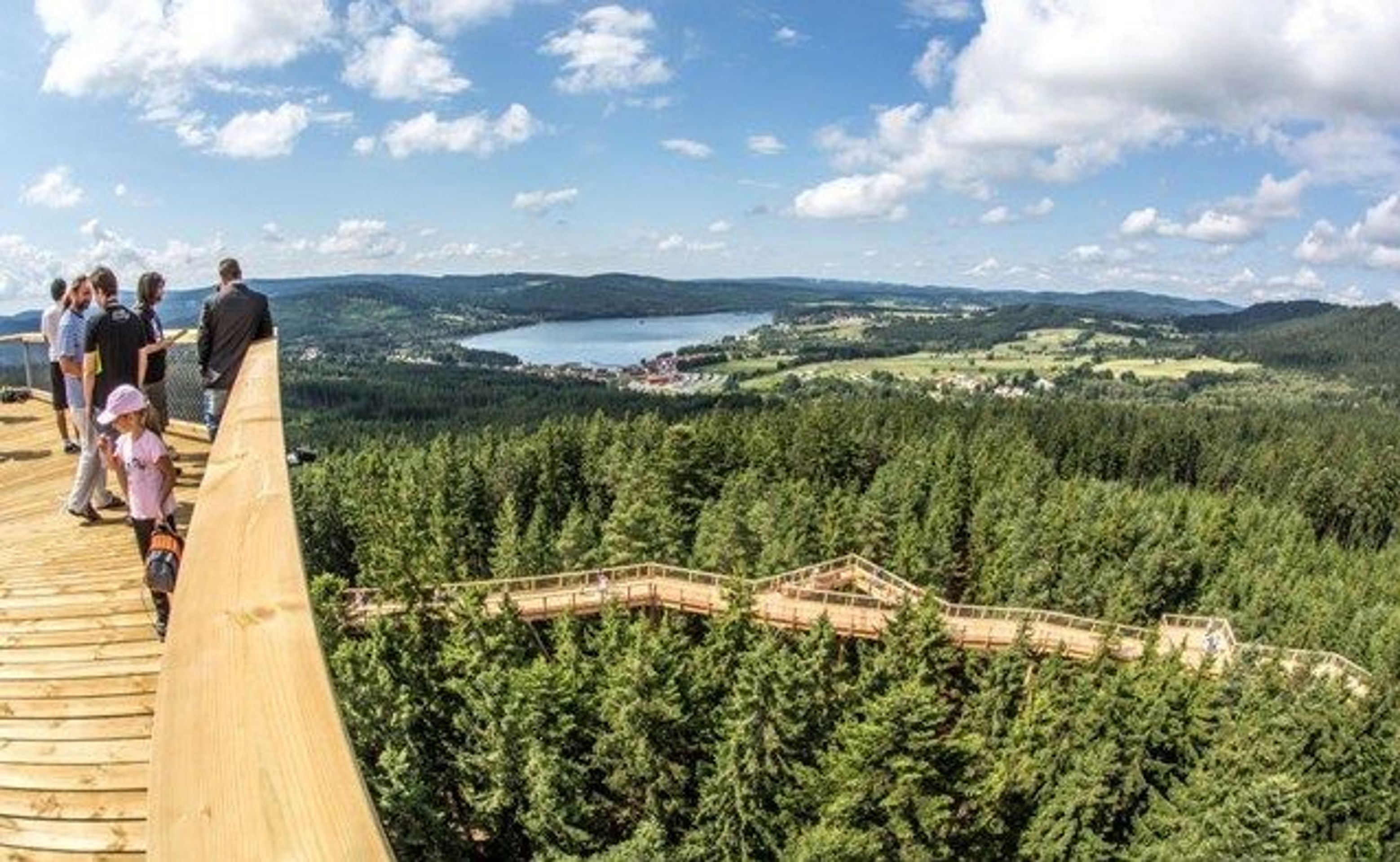 Stezka korunami stromů Lipno - 1 - GALERIE: Stezky korunami stromů (6/11)