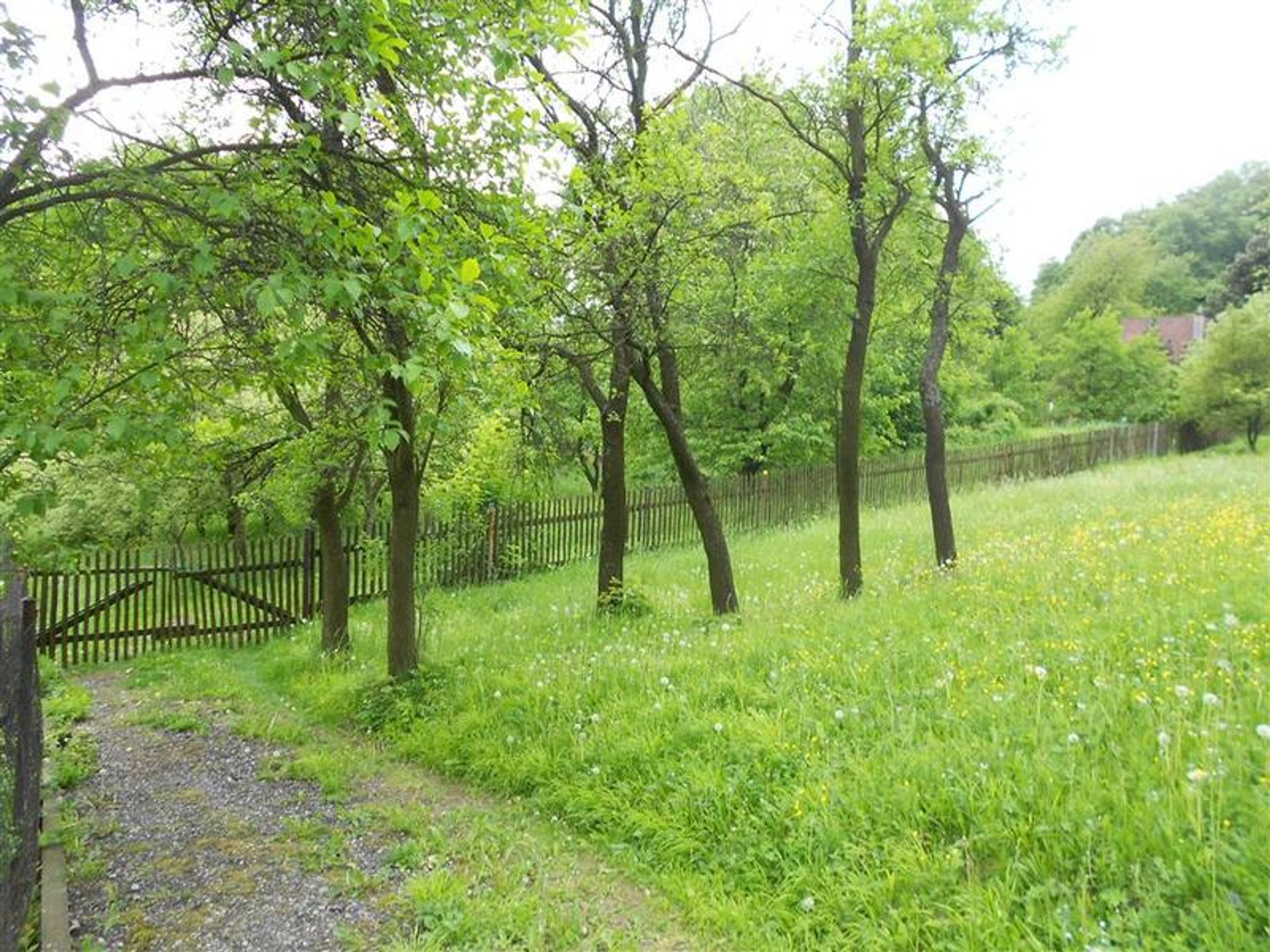 Stavební pozemek Rybí - Exekuce-dražby (17/22)