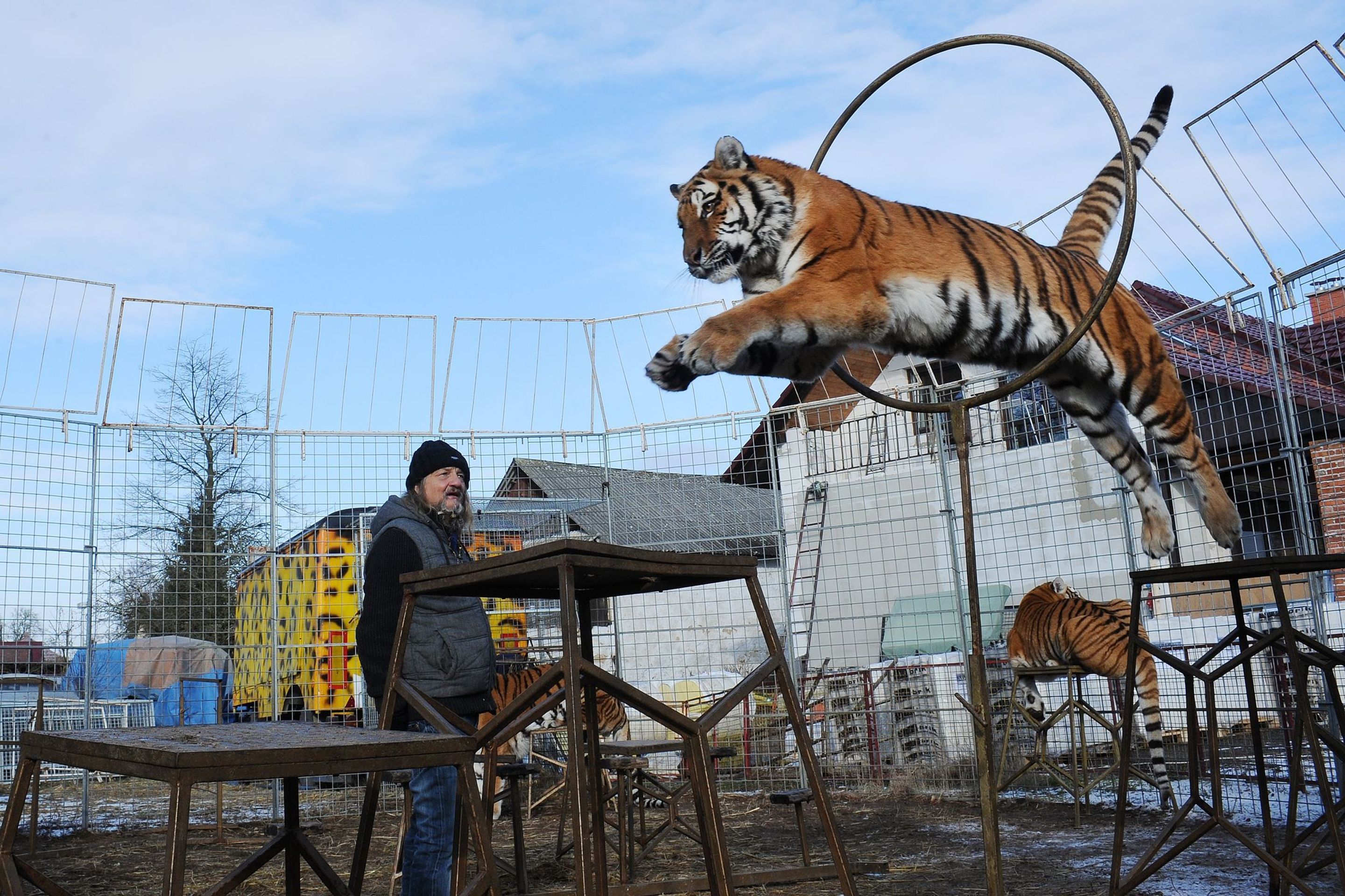 Cirkus Jo - Joo v zimě - 15 - GALERIE: Na zimovišti cirkusus Jo - Joo (14/23)