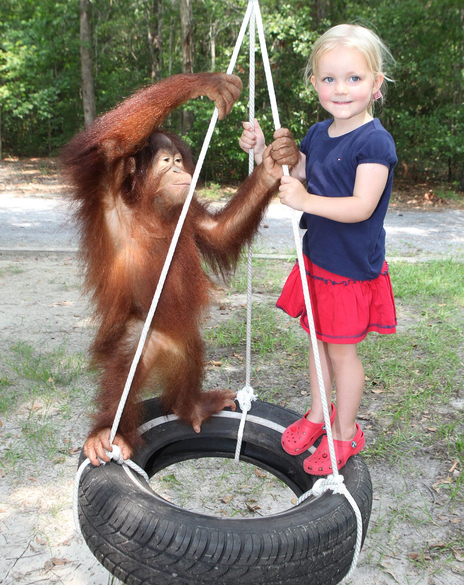 Dívka a opice - GALERIE: Nerozlučná dvojka - dívka a orangutan! (10/12)