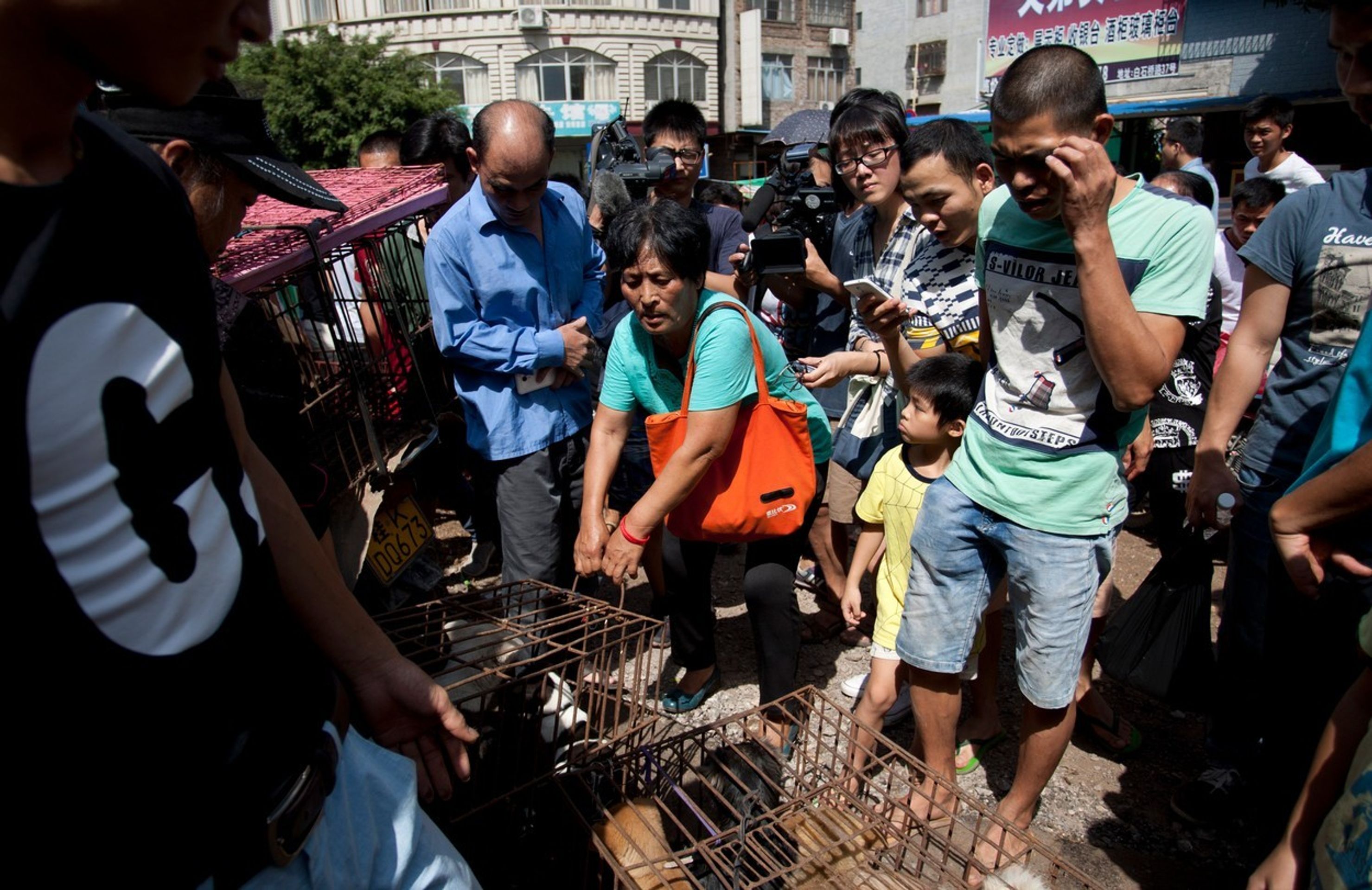 Pojídání psů na festivalu Yulin 2015 - 13 - GALERIE: Pojídání psů na festivalu Yulin 2015 (1/11)