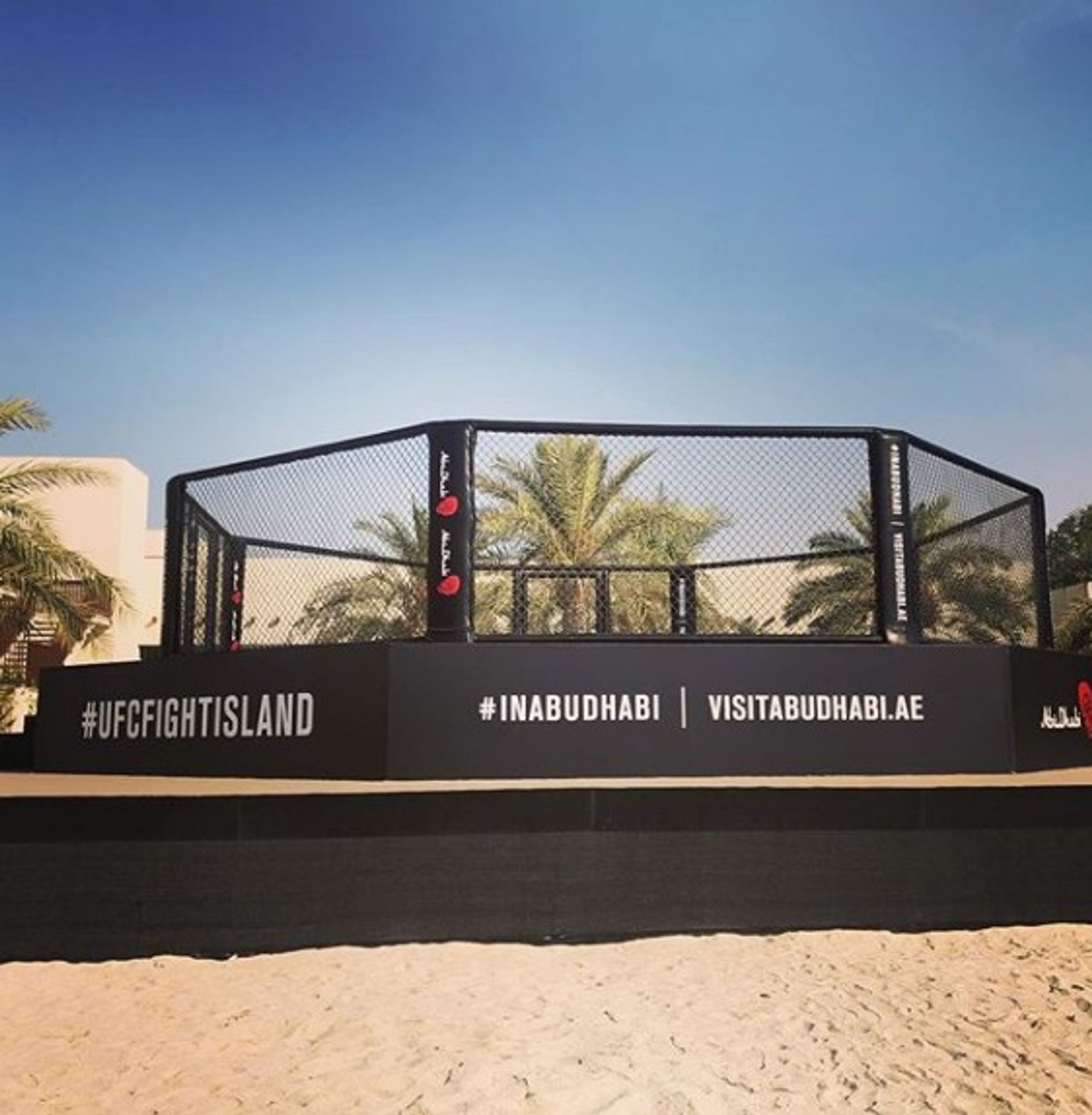 Jiří Procházka a jeho tým v Abú Zabí u oktagonu - 2 - GALERIE: Jiří Procházka si vyzkoušel oktagon UFC na Fight Islandu (3/5)