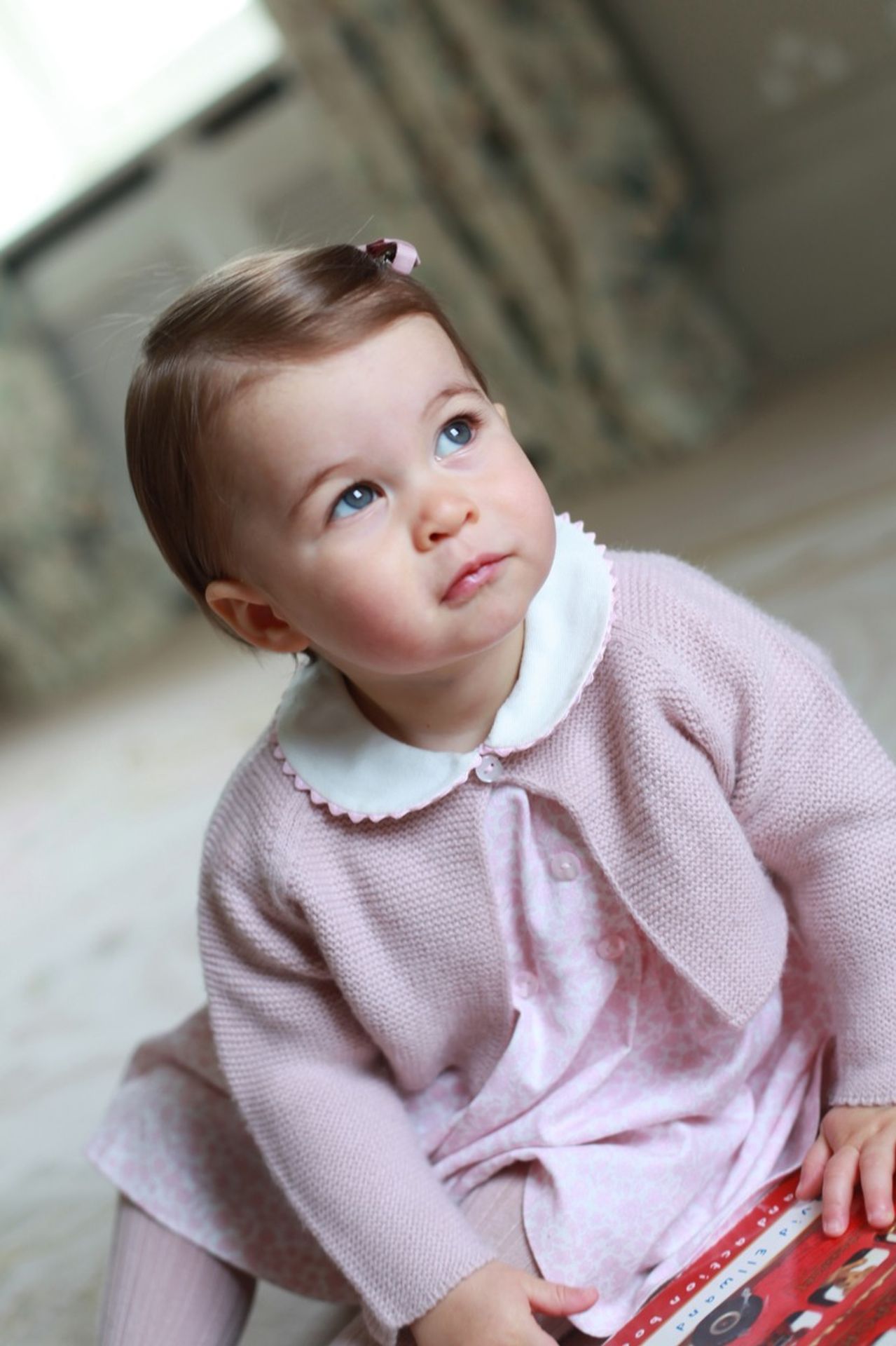 Princezna Charlotte oslaví první narozeniny - Královská rodina (29/32)