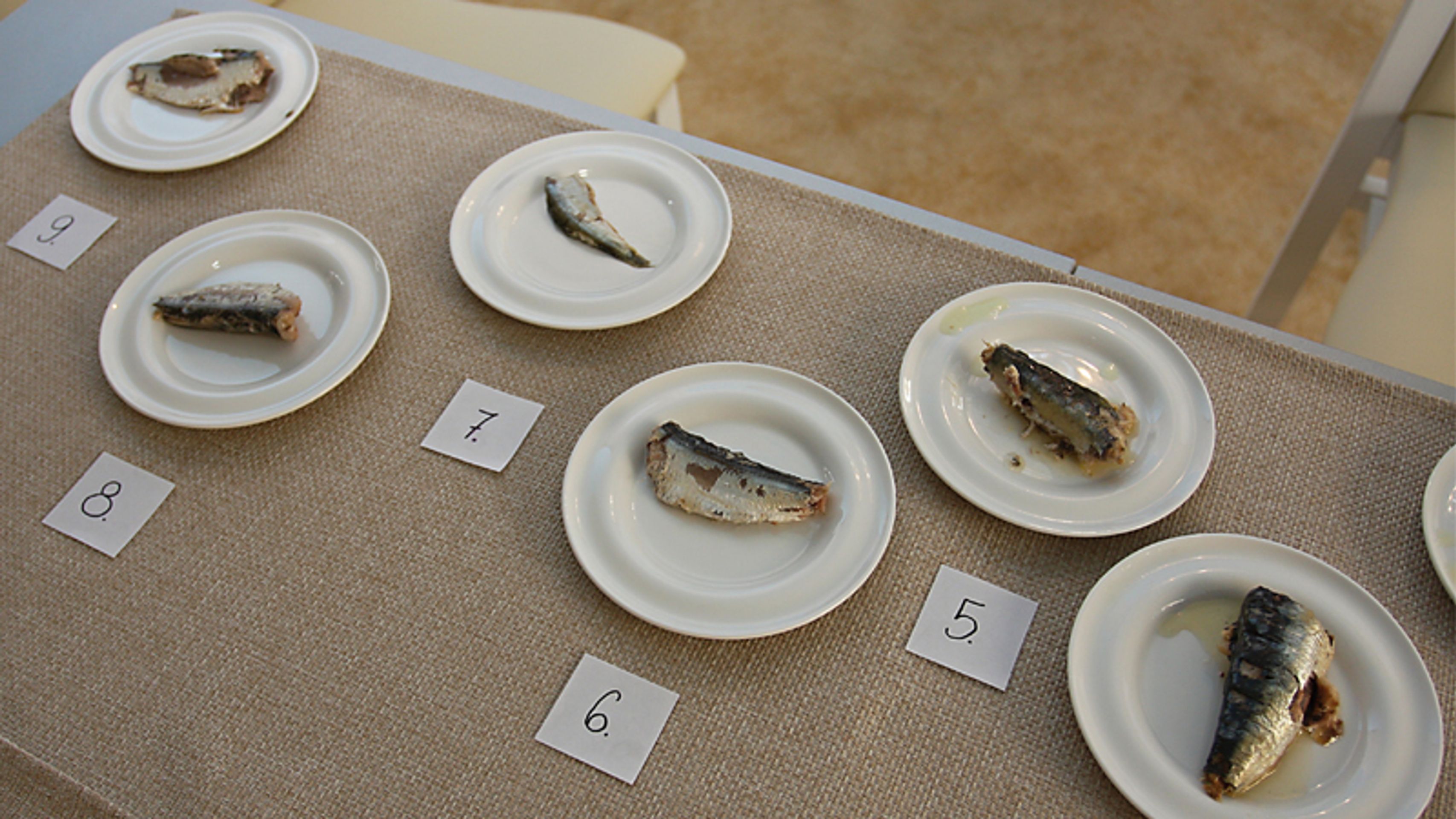 Test - sardinky - Test sardinek (3/13)
