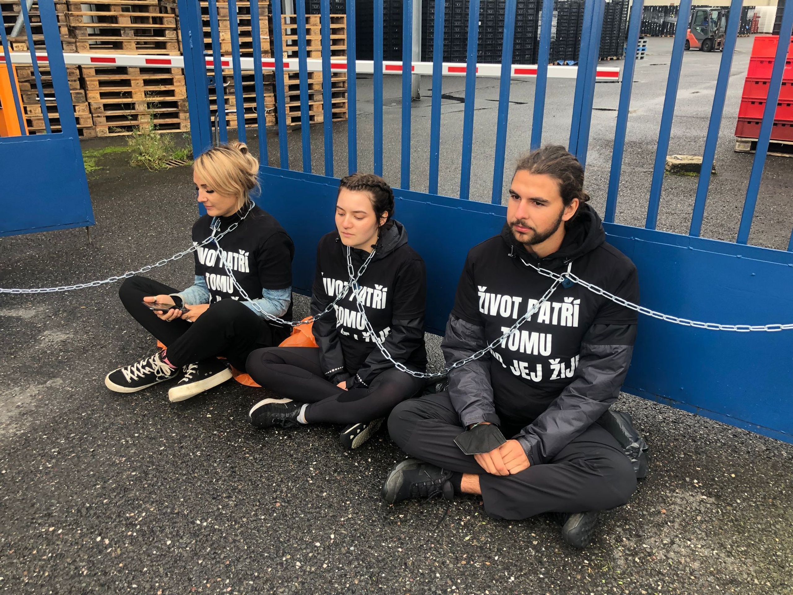 Aktivisté protestují u drůbežárny v Mirovicích - 3 - GALERIE: Aktivisté u drůbežárny Mirovice na Písecku (6/11)