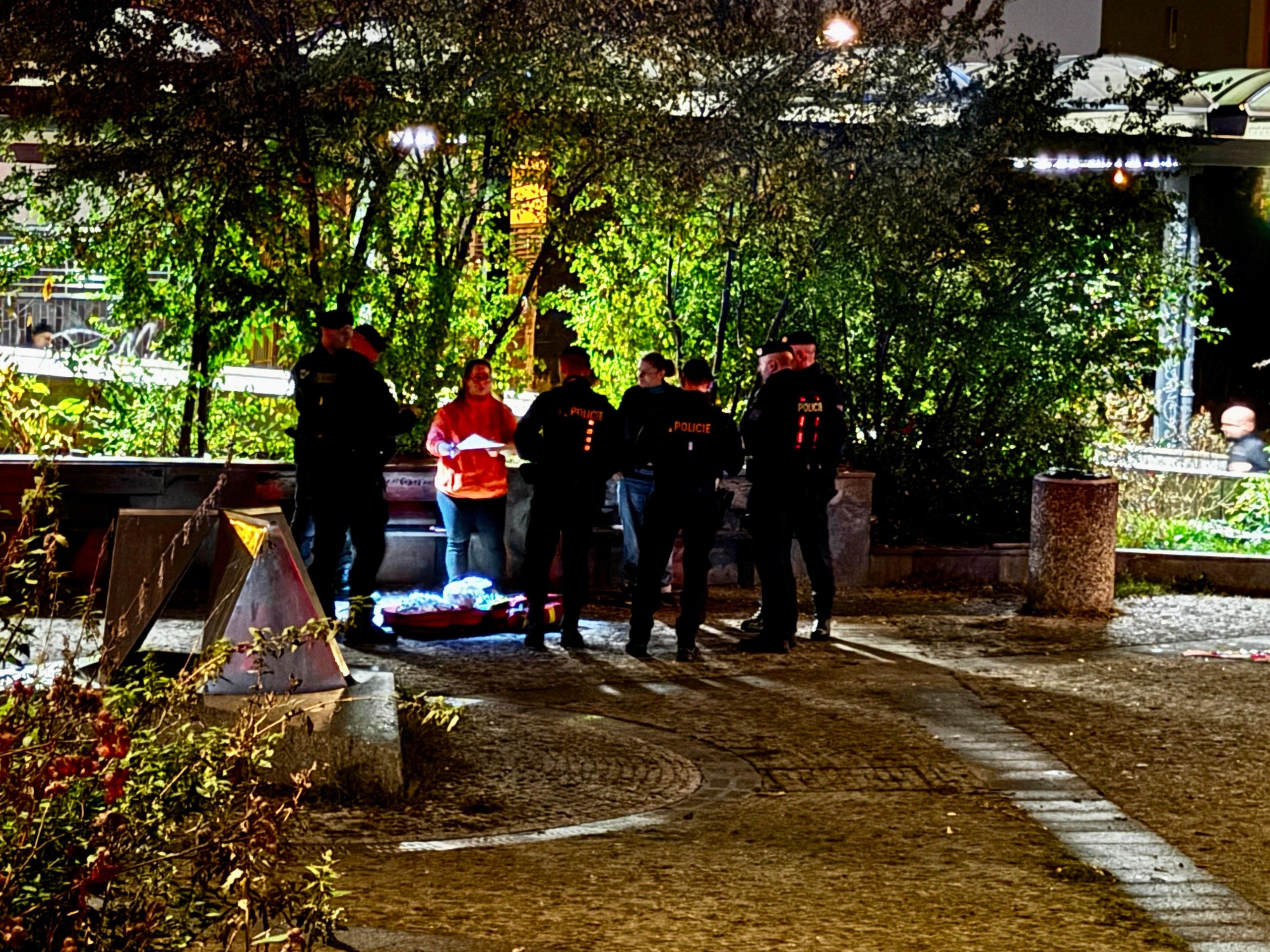 Policisté v Praze museli střelit psa - Policisté v Praze museli střelit psa (5/8)