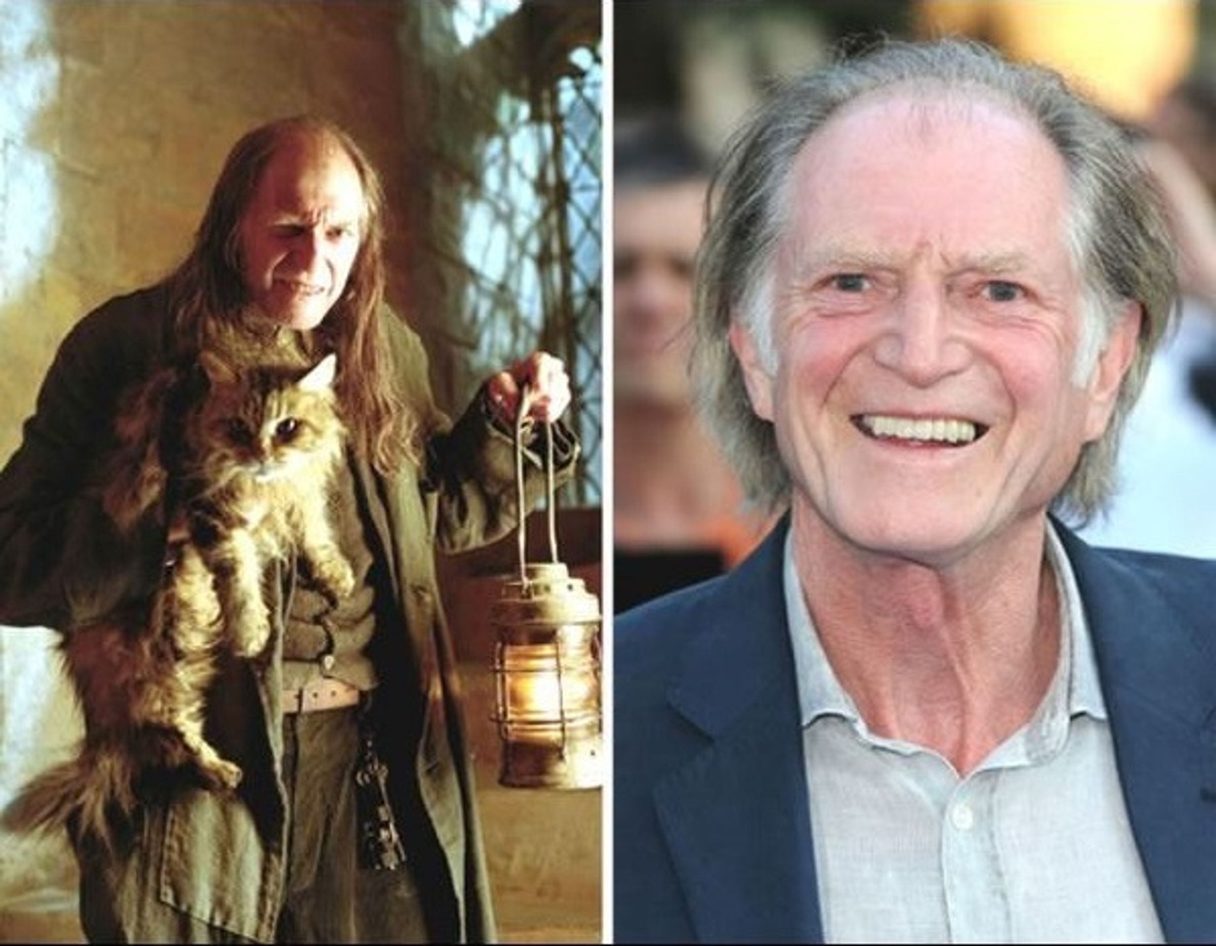 Harry Potter - postavy - školník Finch - David Bradley - GALERIE: Harry Potter - postavy (21/22)
