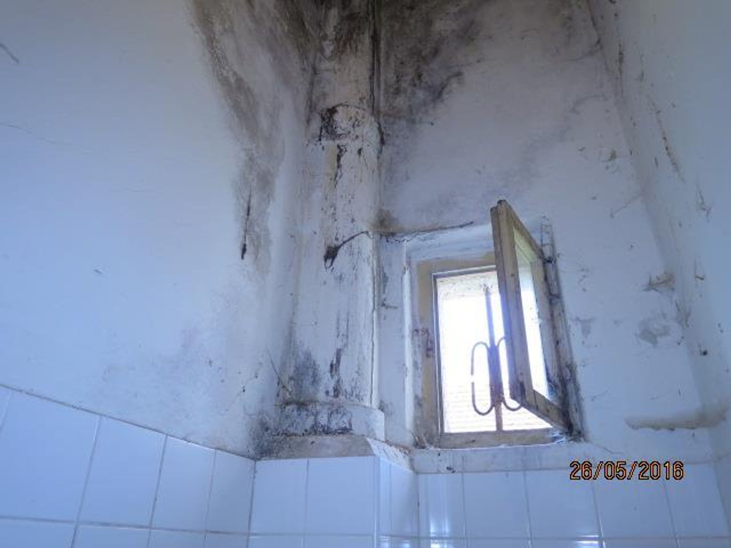 Uzavřené provozovny za závažné hygienické prohřešky - 8 - GALERIE: Uzavřené provozovny za závažné hygienické prohřešky (8/8)