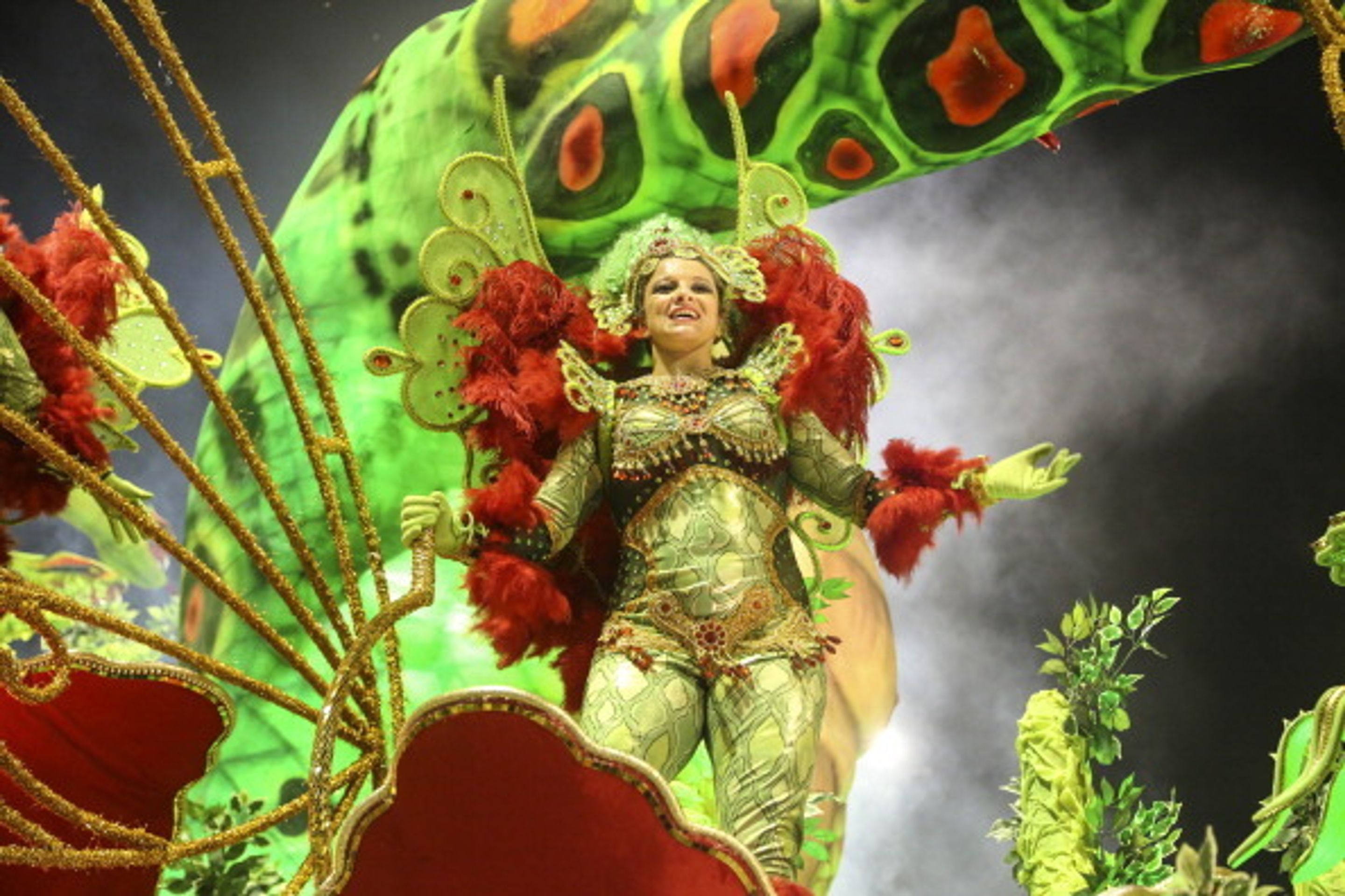 Karneval v Riu de Janeru - 1 - Brazílie žije všemi barvami. Karneval začal! (19/19)