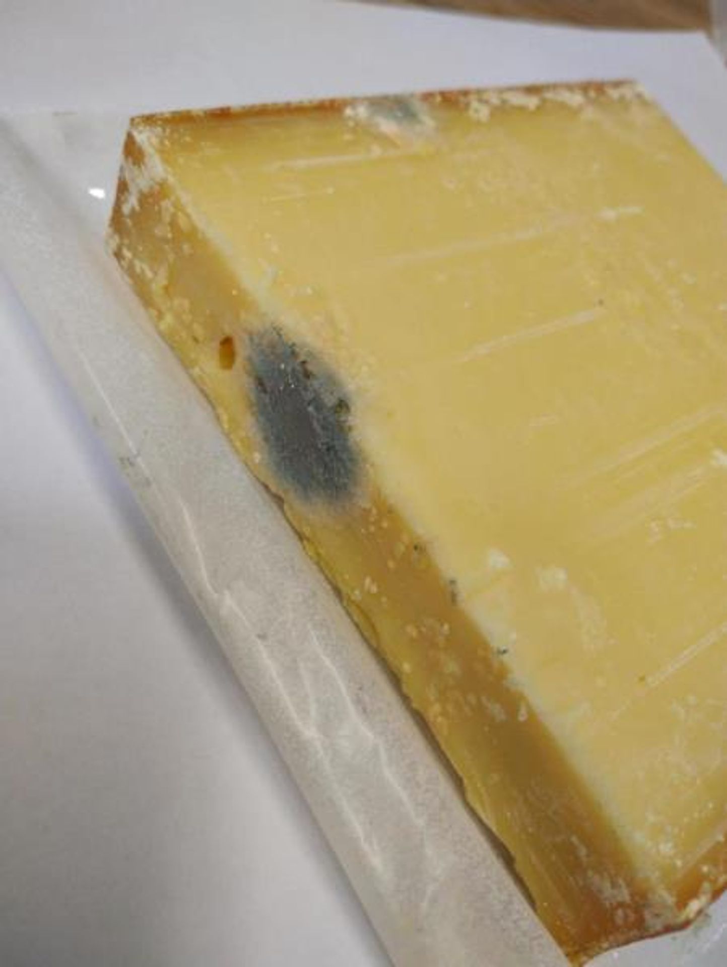 Old Jersey Gouda - Závadné potraviny (6/11)