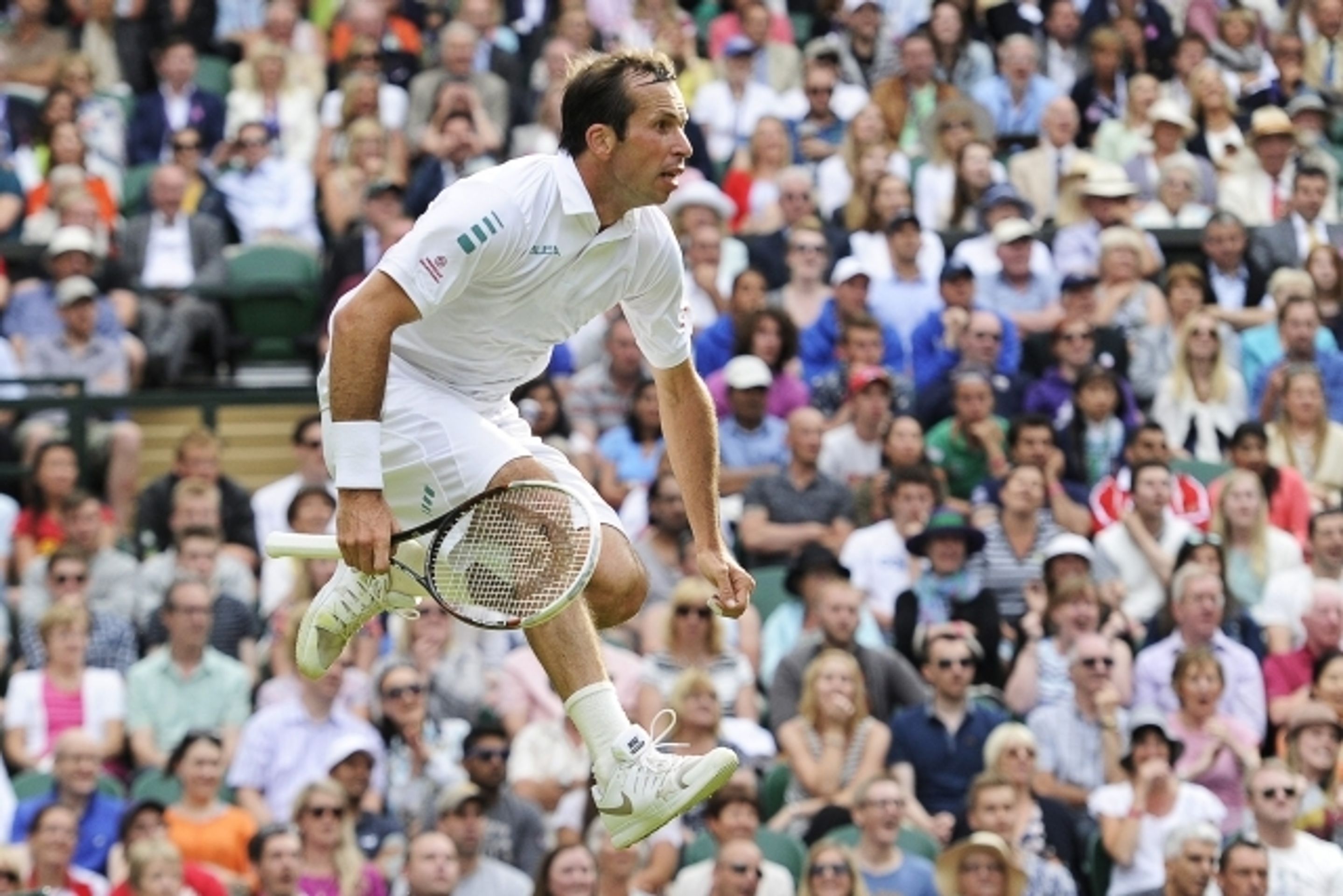 GALERIE: Radek Štěpánek - Nova Djokovič - 11 - GALERIE: Radek Štěpánek - Novak Djokovič, Wimbledon 2014 (12/13)