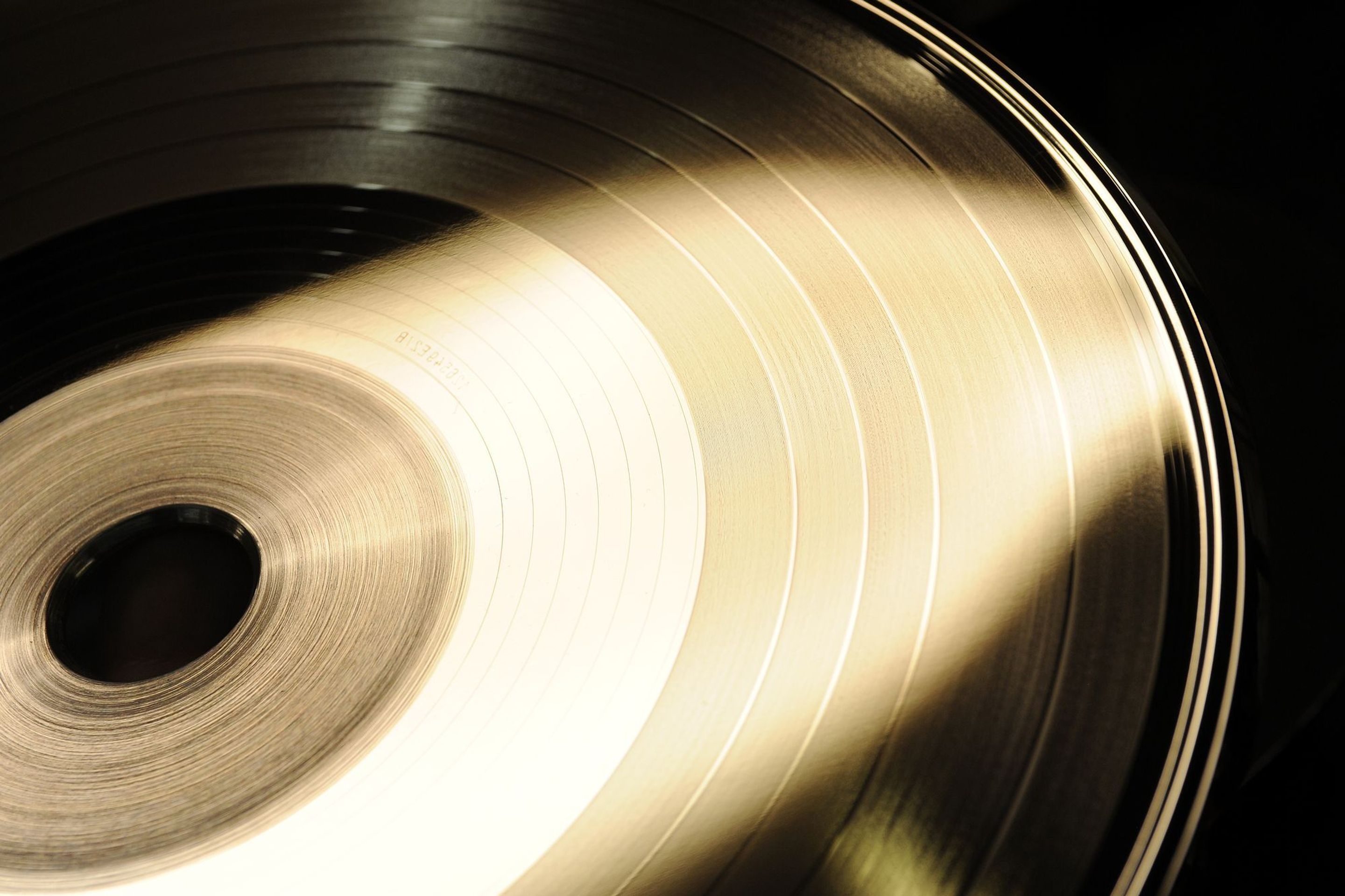 Na návštěvě v největší továrně na vinylové desky na světě - 15 - GALERIE: V Loděnici vyrábějí nejvíce gramofonových desek na světě (11/23)