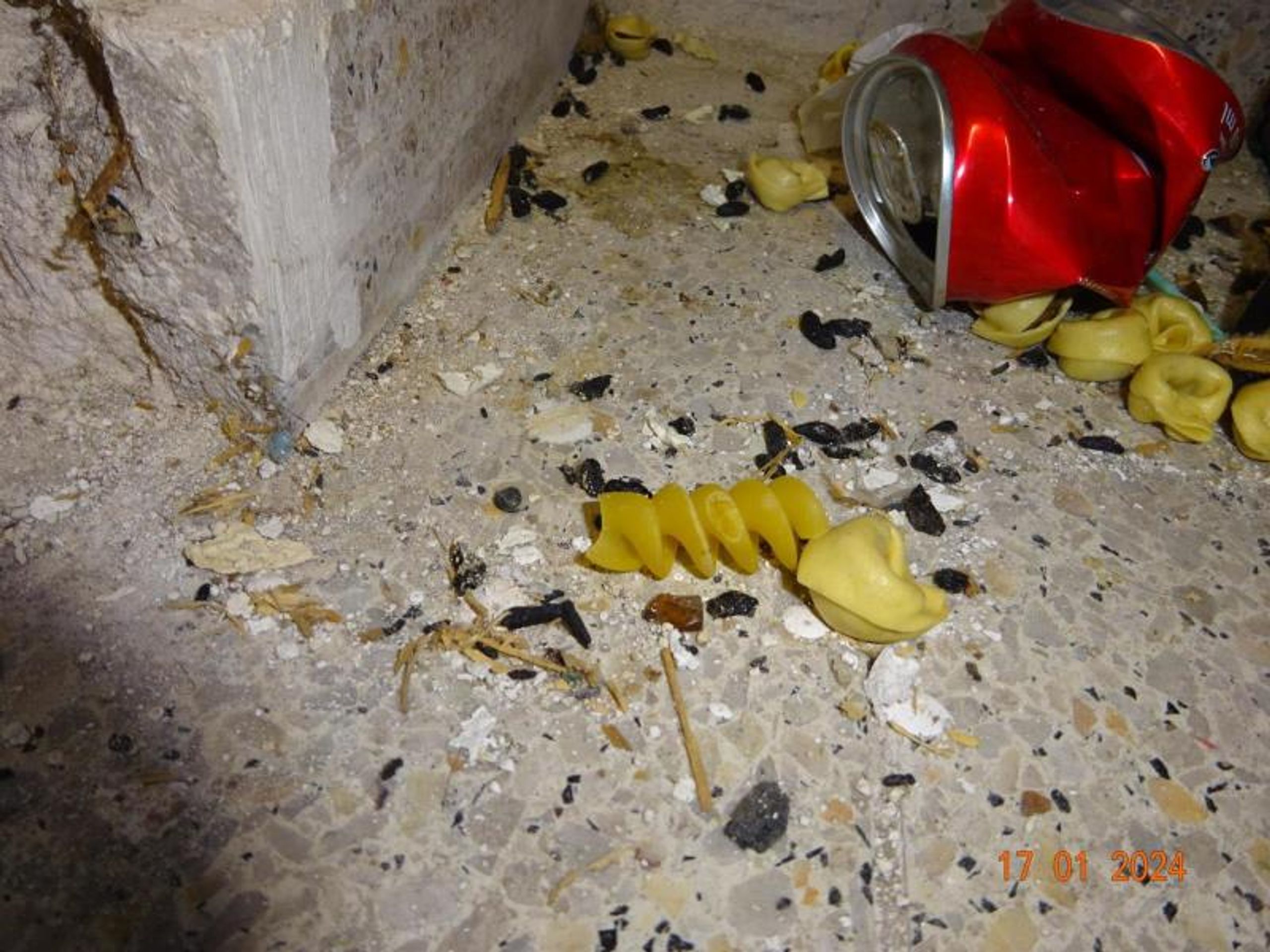 V Albertu byl uzavřen hlavní sklad (8) - V Albertu byl uzavřen hlavní sklad (5/10)