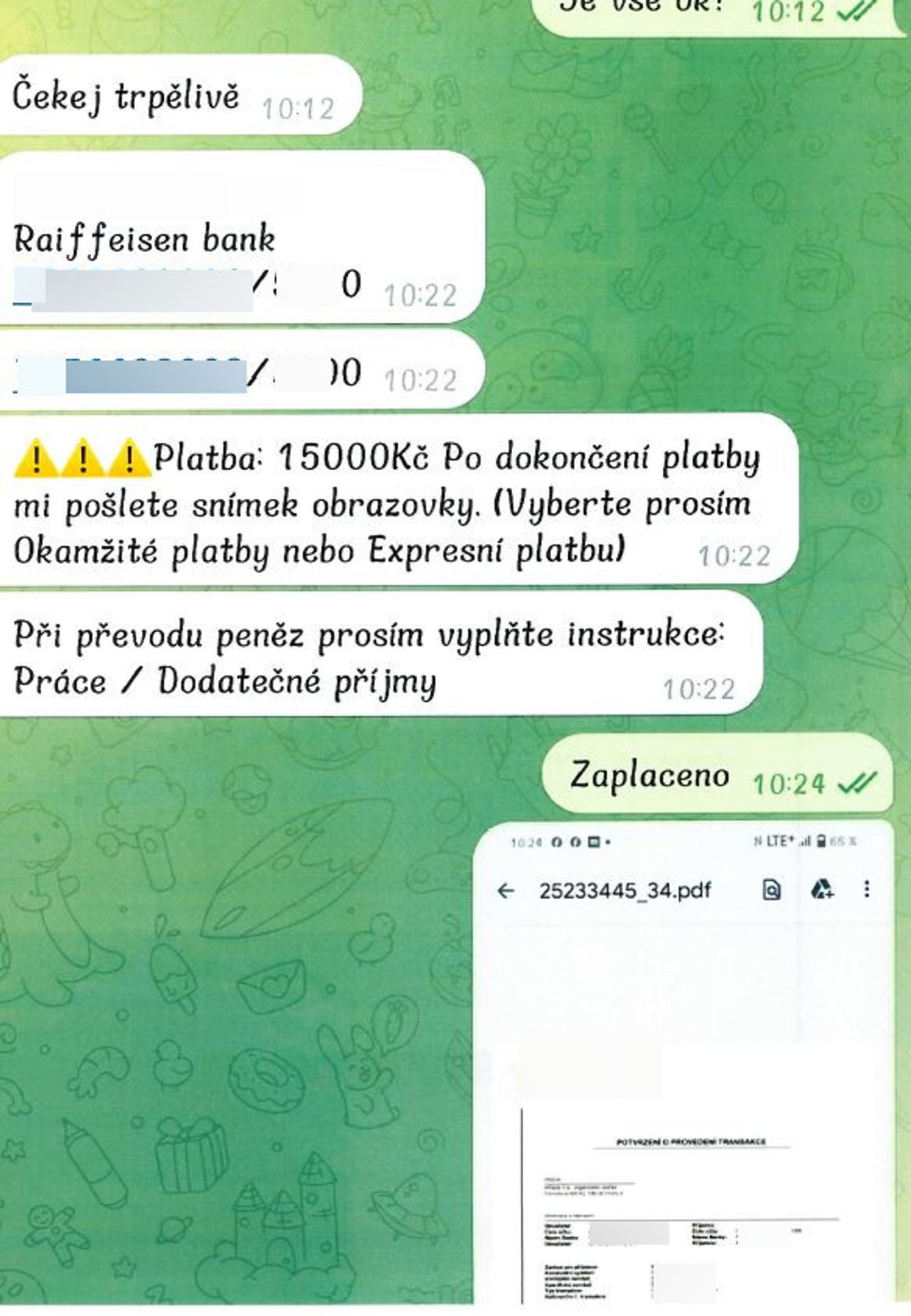 Internetový podvod (9) - Nový internetový podvod (9/14)