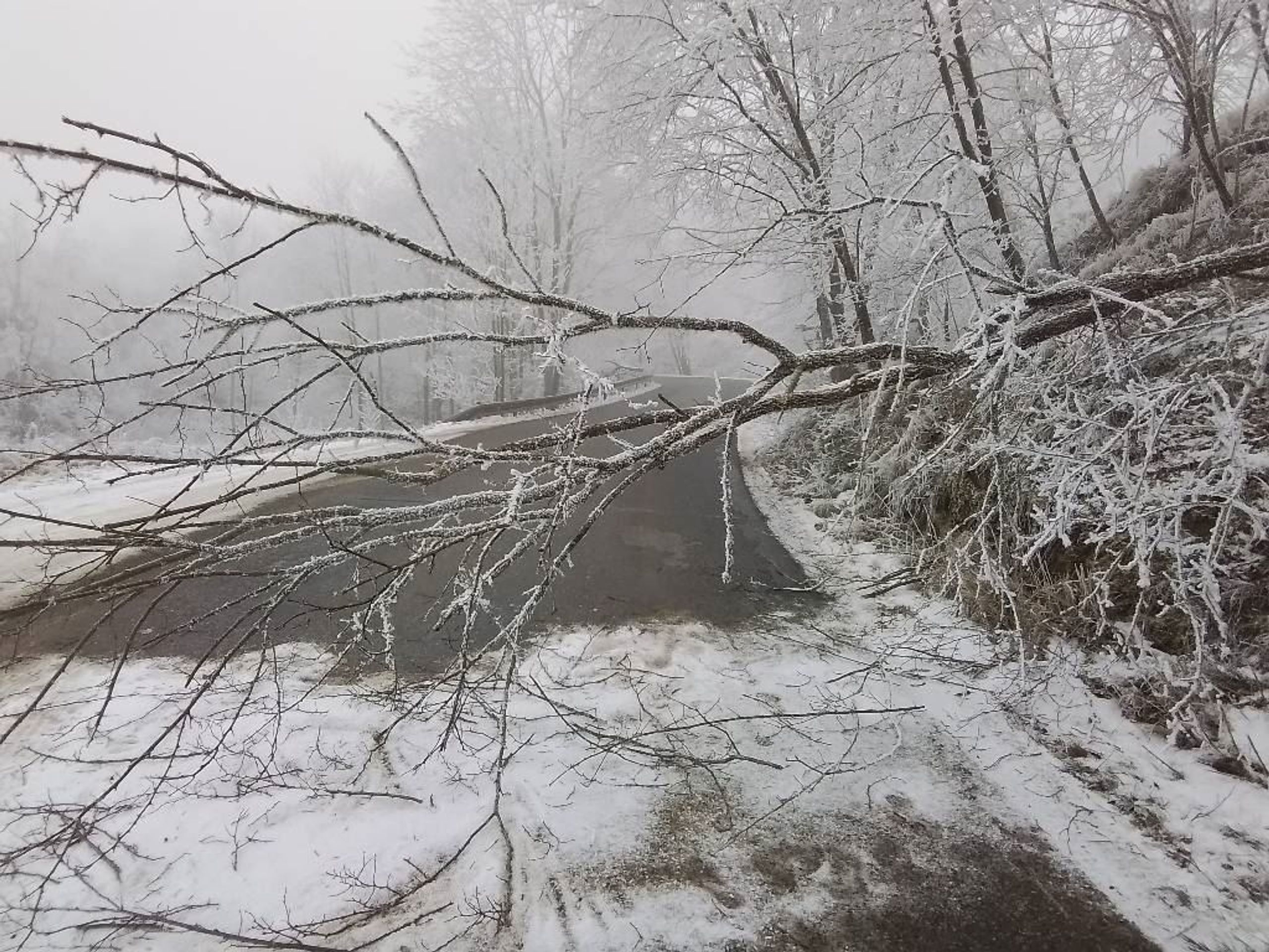 Ledovka na Vysočině - Ledovka na Vysočině (4/4)