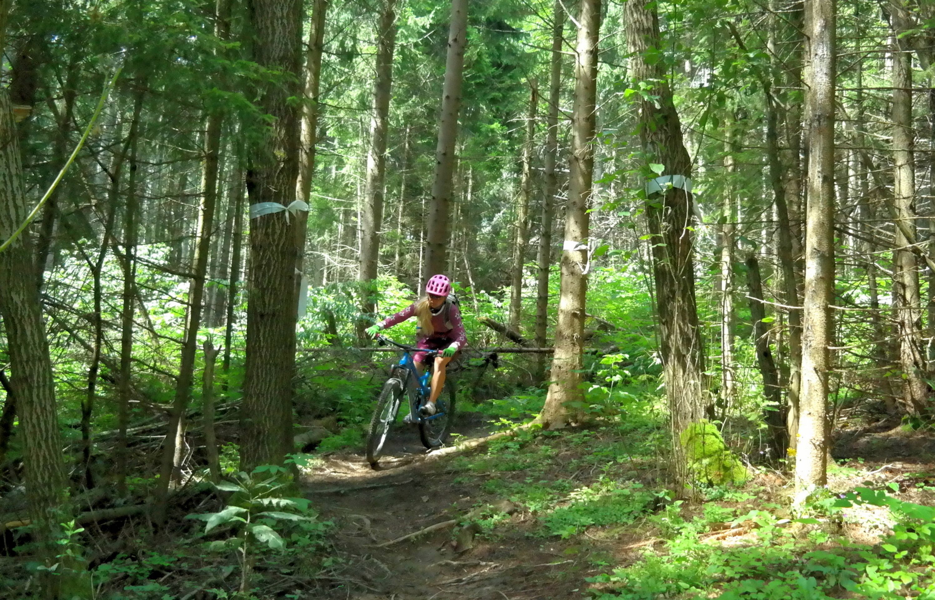Cyklospeciál: Bachledová na Slovensku - 25 - GALERIE: Slovenská Bachledová - Bikepark (9/13)