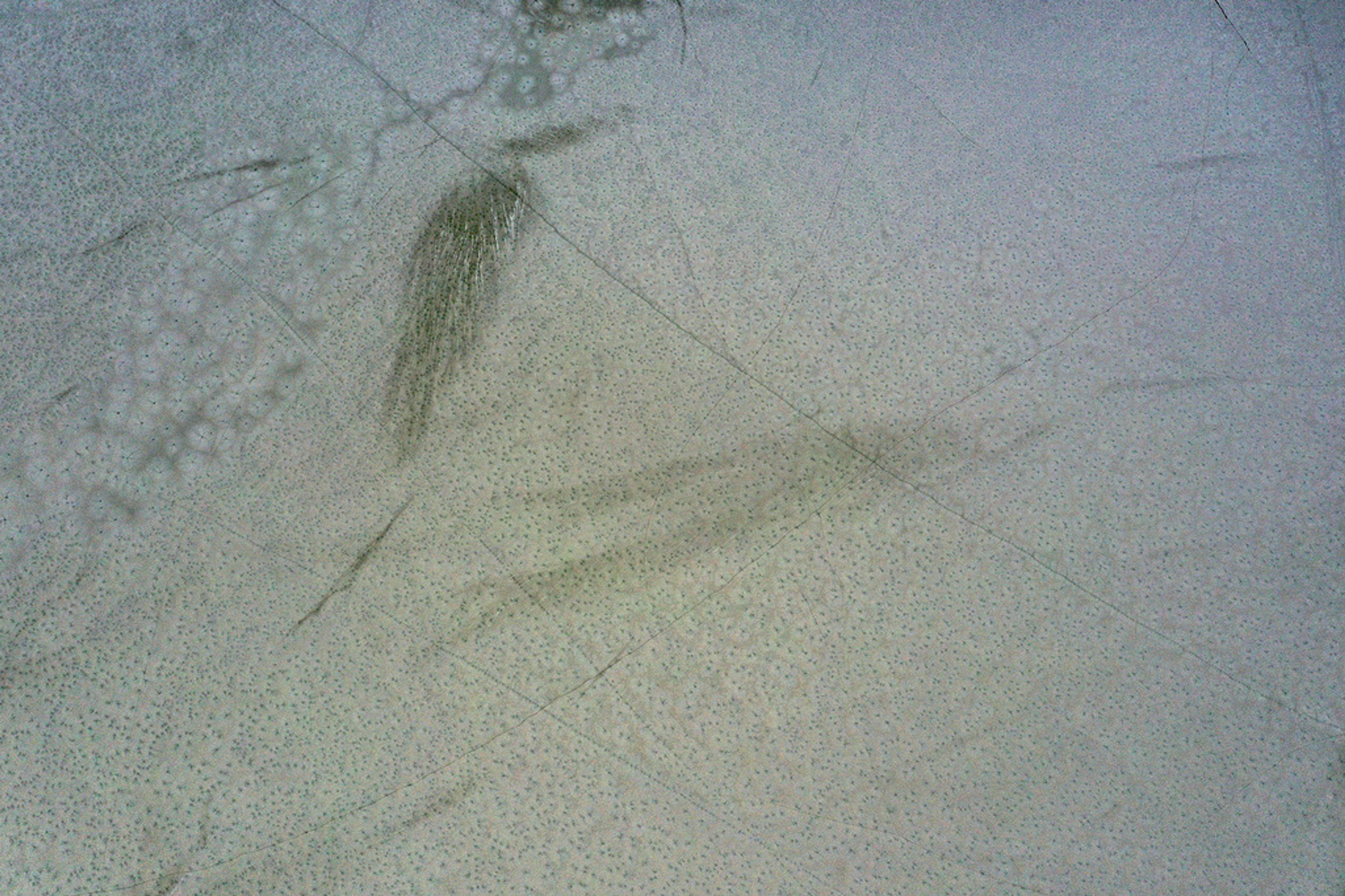 Zelený led na Lipně - Zelený led na Lipně (26/28)