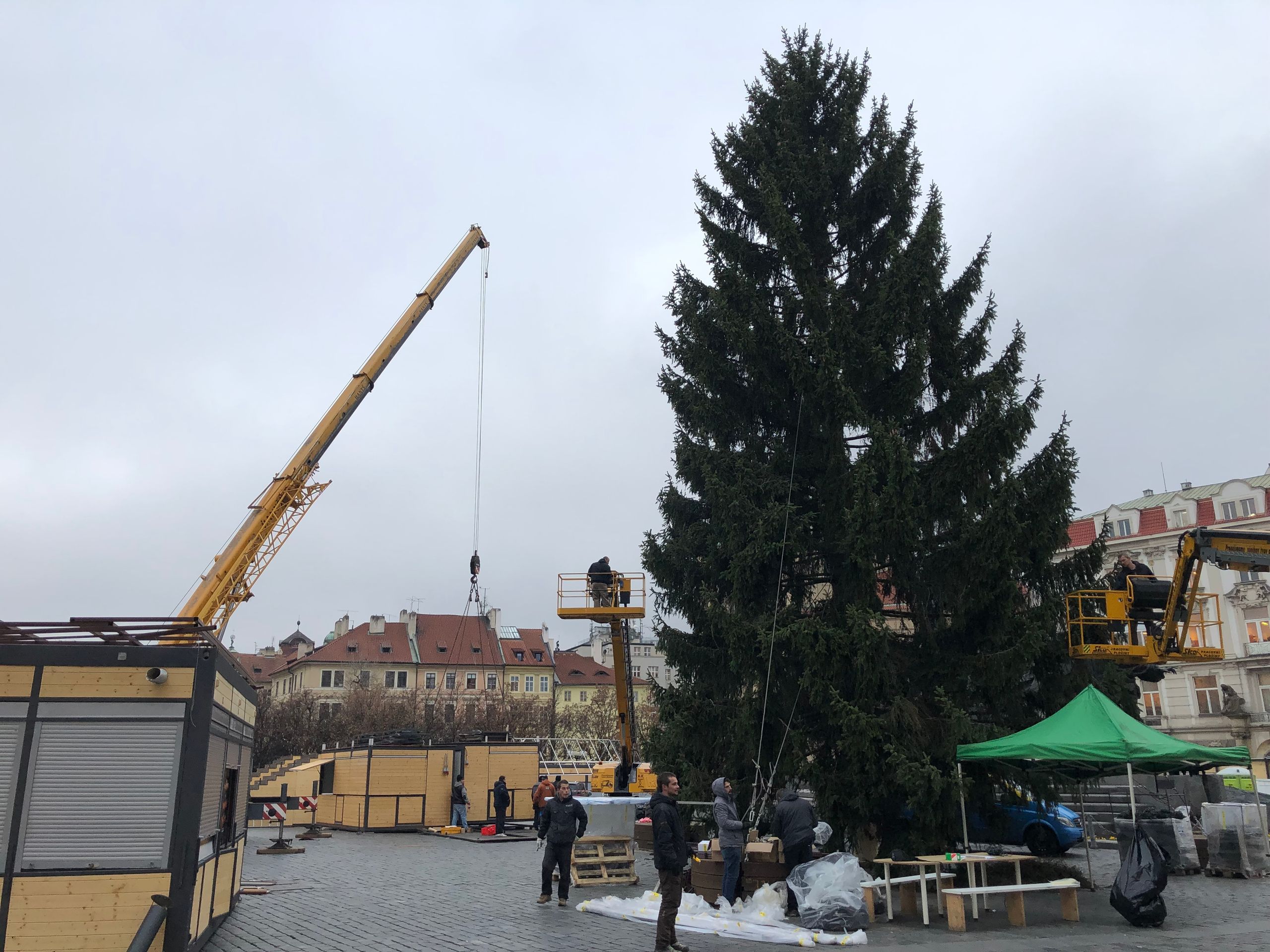 Vánoční strom na Staroměstském náměstí - 6 - GALERIE: Vánoční strom na Staroměstském náměstí (6/7)