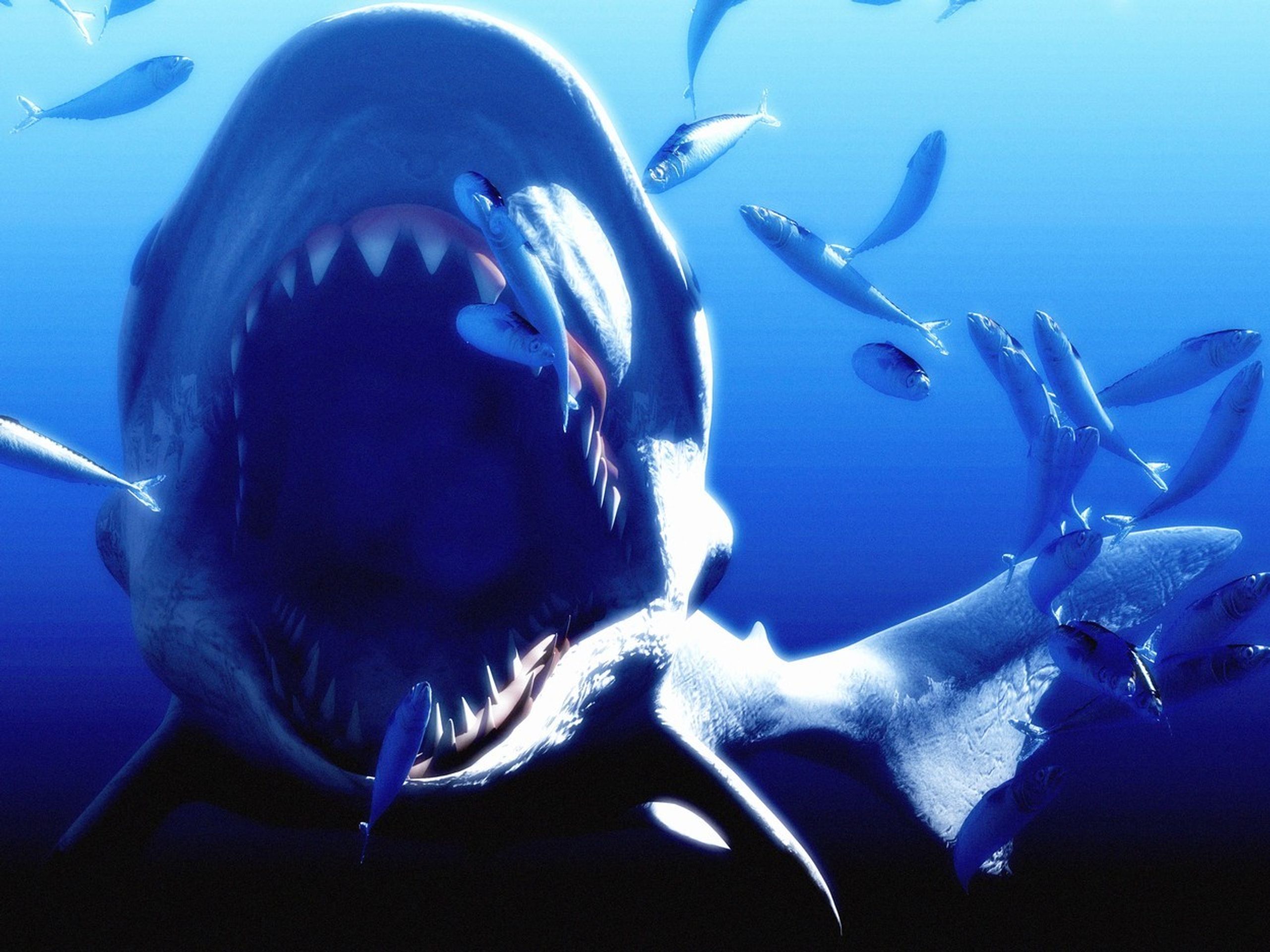 Megalodon - 1 - GALERIE: Megalodon (4/4)