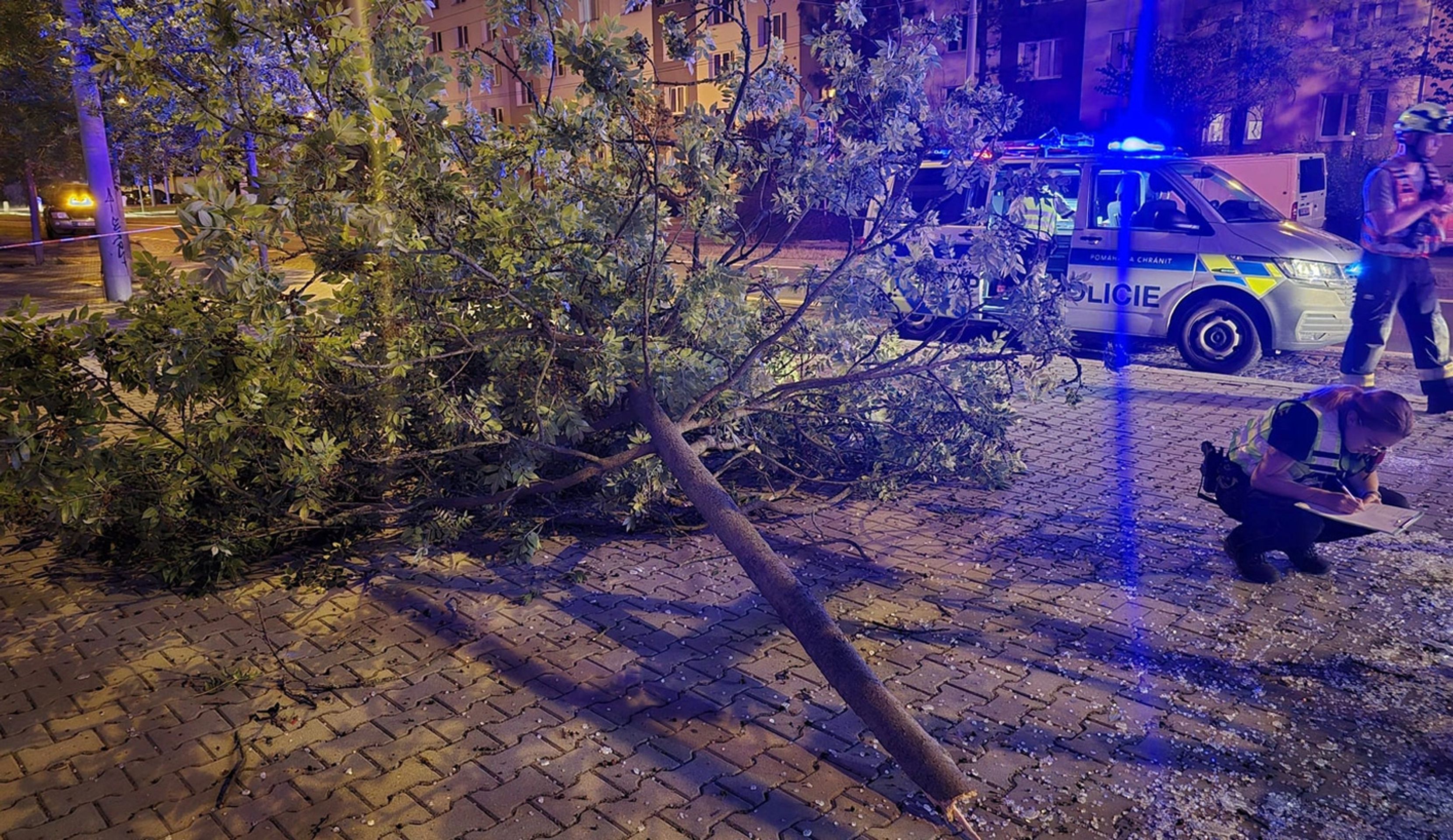 Opilý mladík najel autem do zastávky MHD (5) - Opilý mladík najel autem do zastávky MHD (6/6)