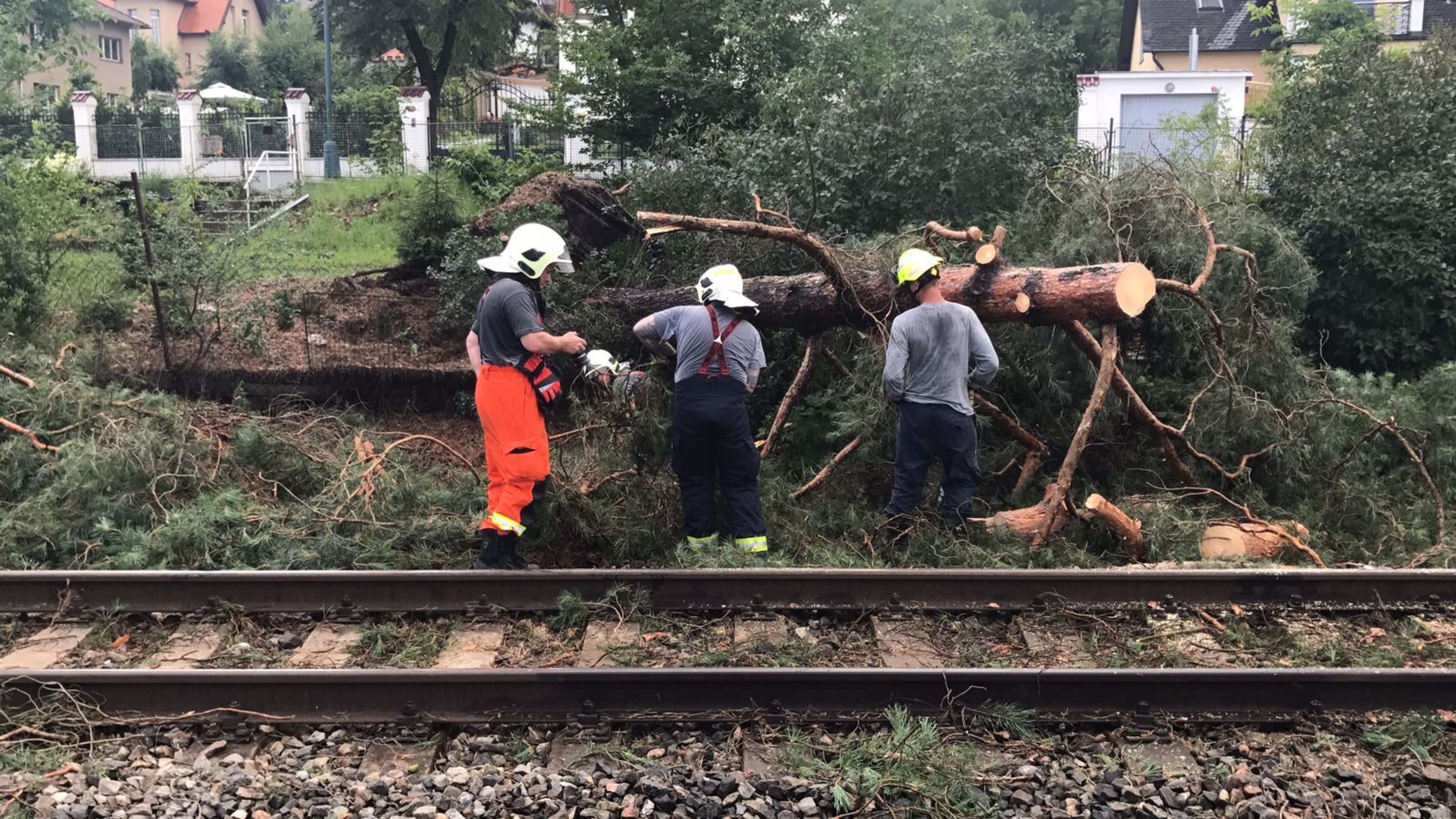 Padlý strom v bouřce zastavil dopravu na železniční trati Praha-Beroun - GALERIE: Bouřky 9.7.2017 (4/6)