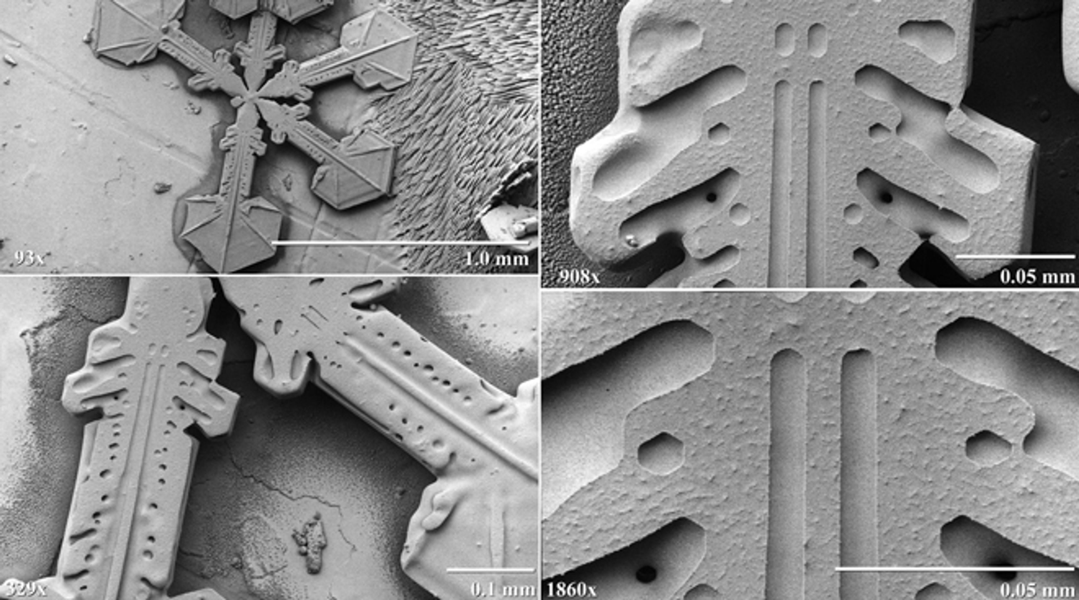 Vločka pod mikroskopem - 9 - GALERIE: Sněhová vločka pod mikroskopem (4/22)