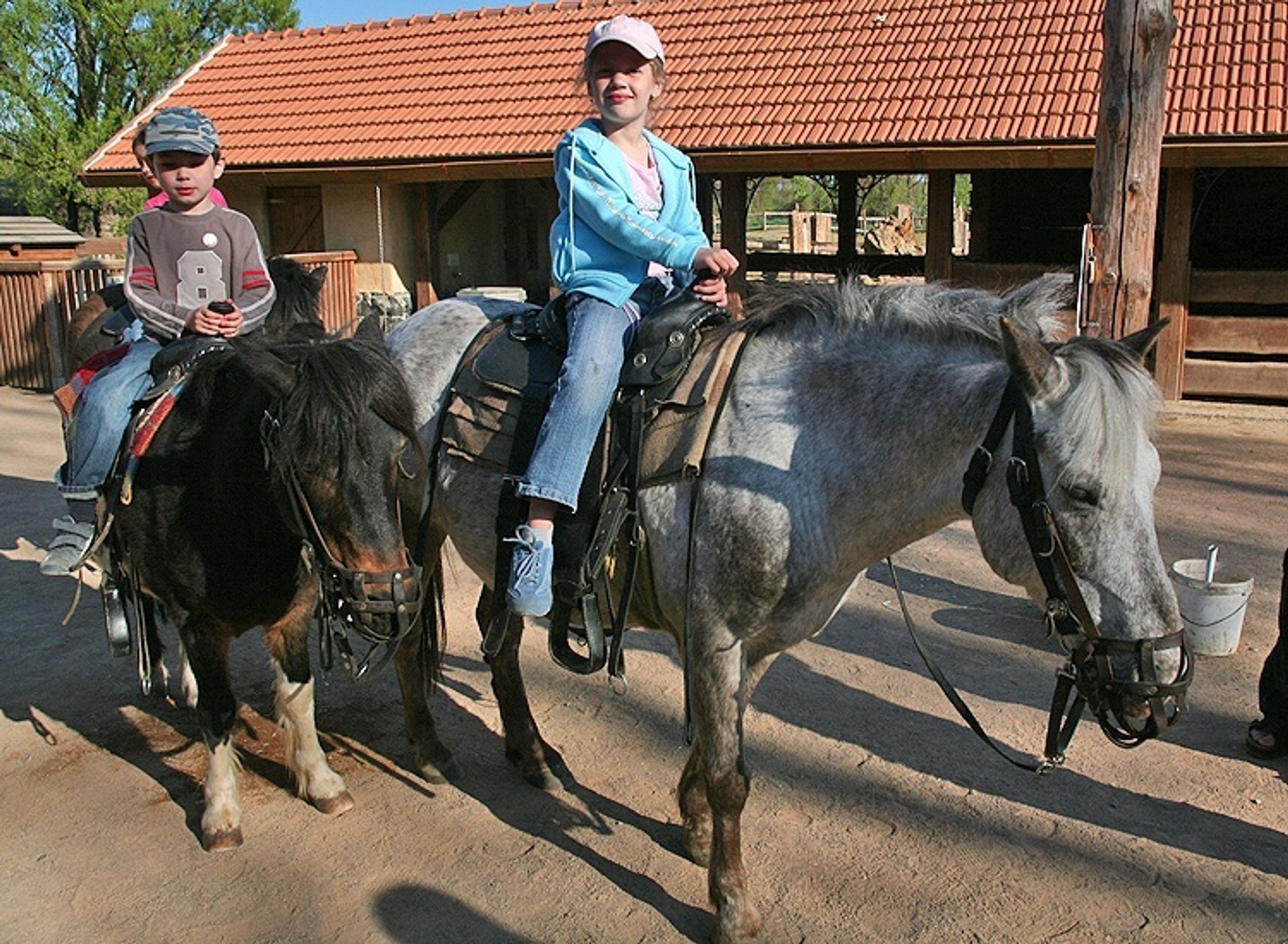Novohraní 2007 - Novohraní v Zoo očima fotografa (15/20)