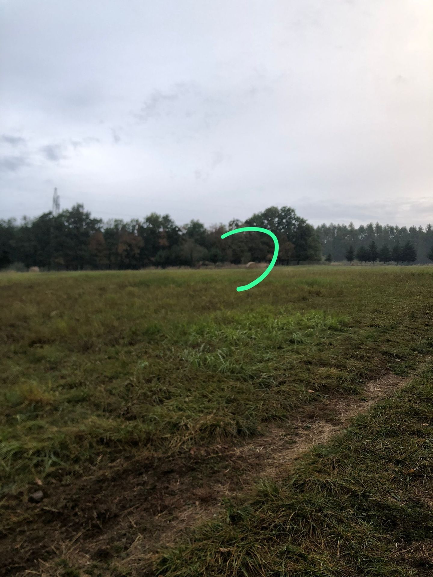 Napadení fen smečkou bulteriérů (5) - Napadení fen smečkou bulteriérů (2/10)
