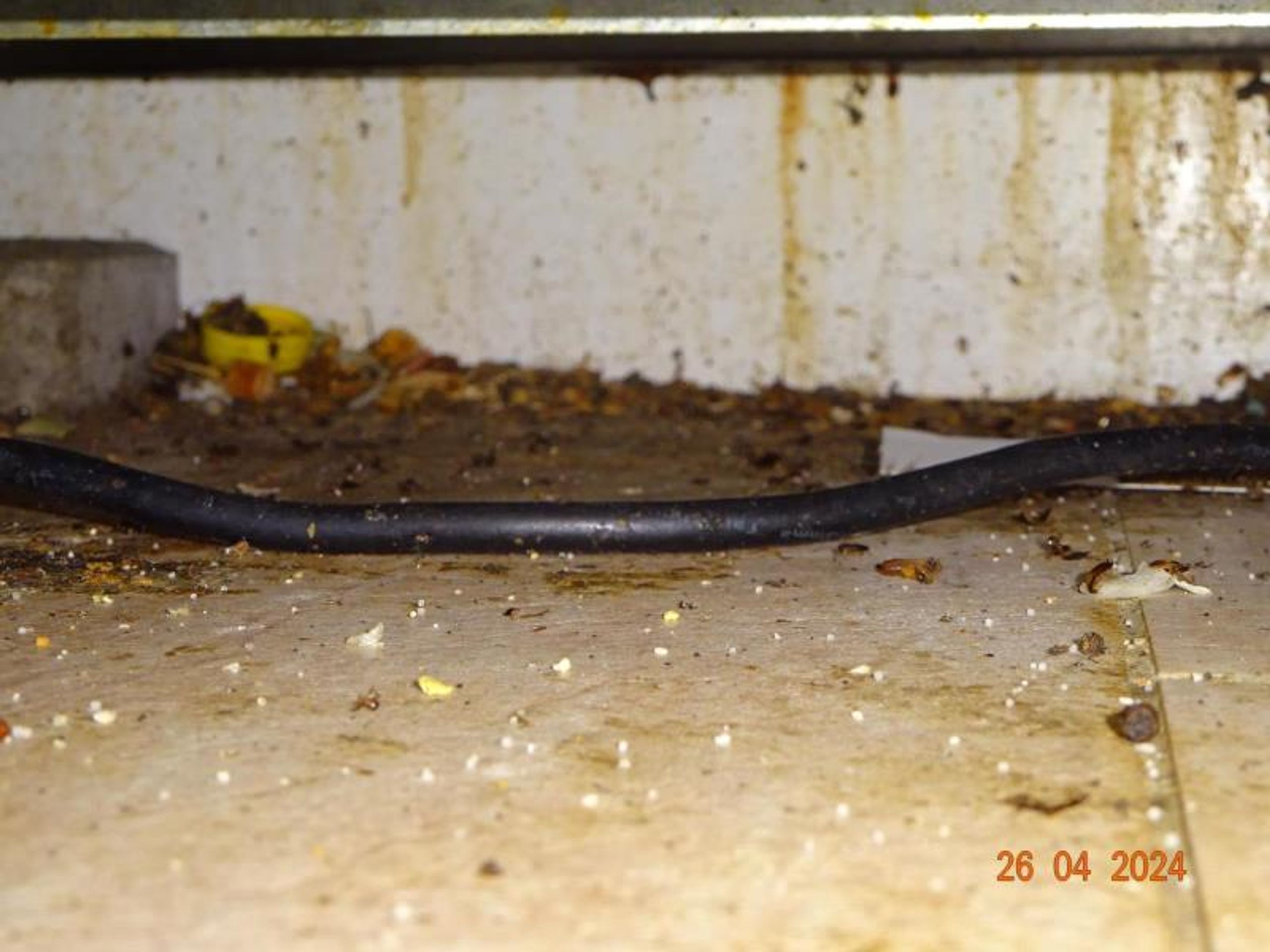 Uzavřená Pizzerie Maškovka (9) - Uzavřená Pizzerie Maškovka (15/25)