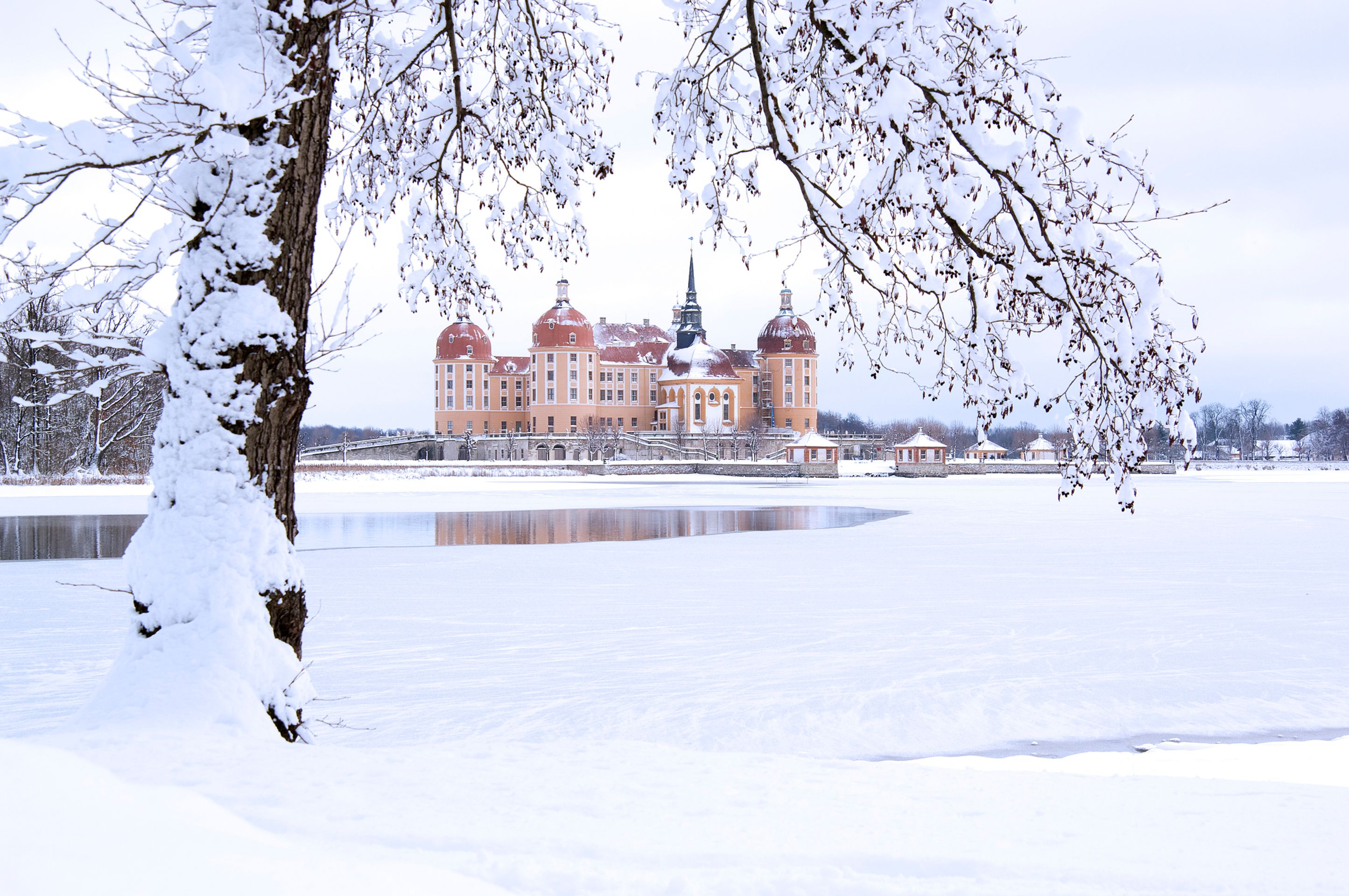 GettyImages-146770789 - Zámek Moritzburg (1/7)