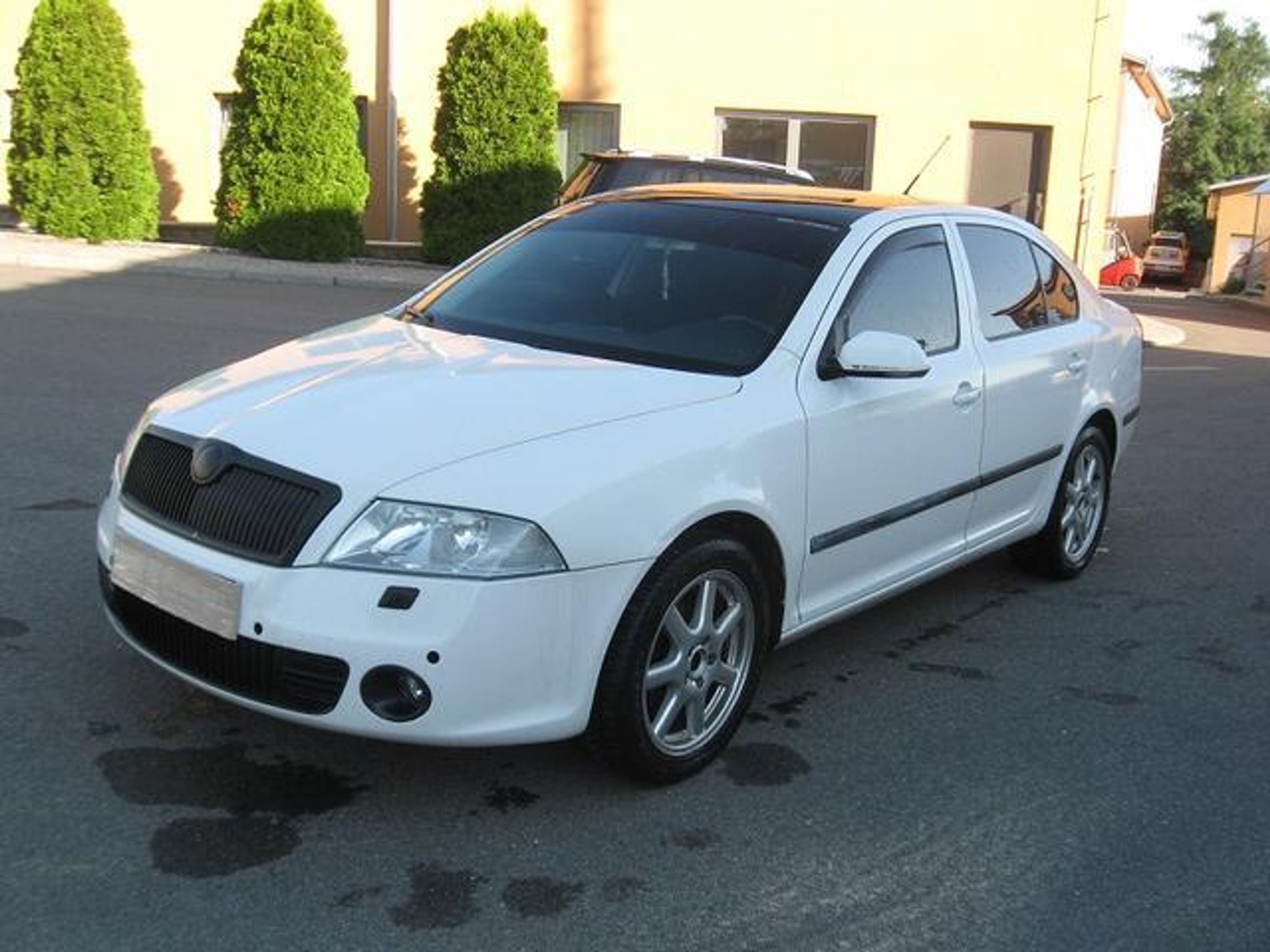 Dražba - Škoda Octavia - GALERIE: Dražba vozidel (24/27)