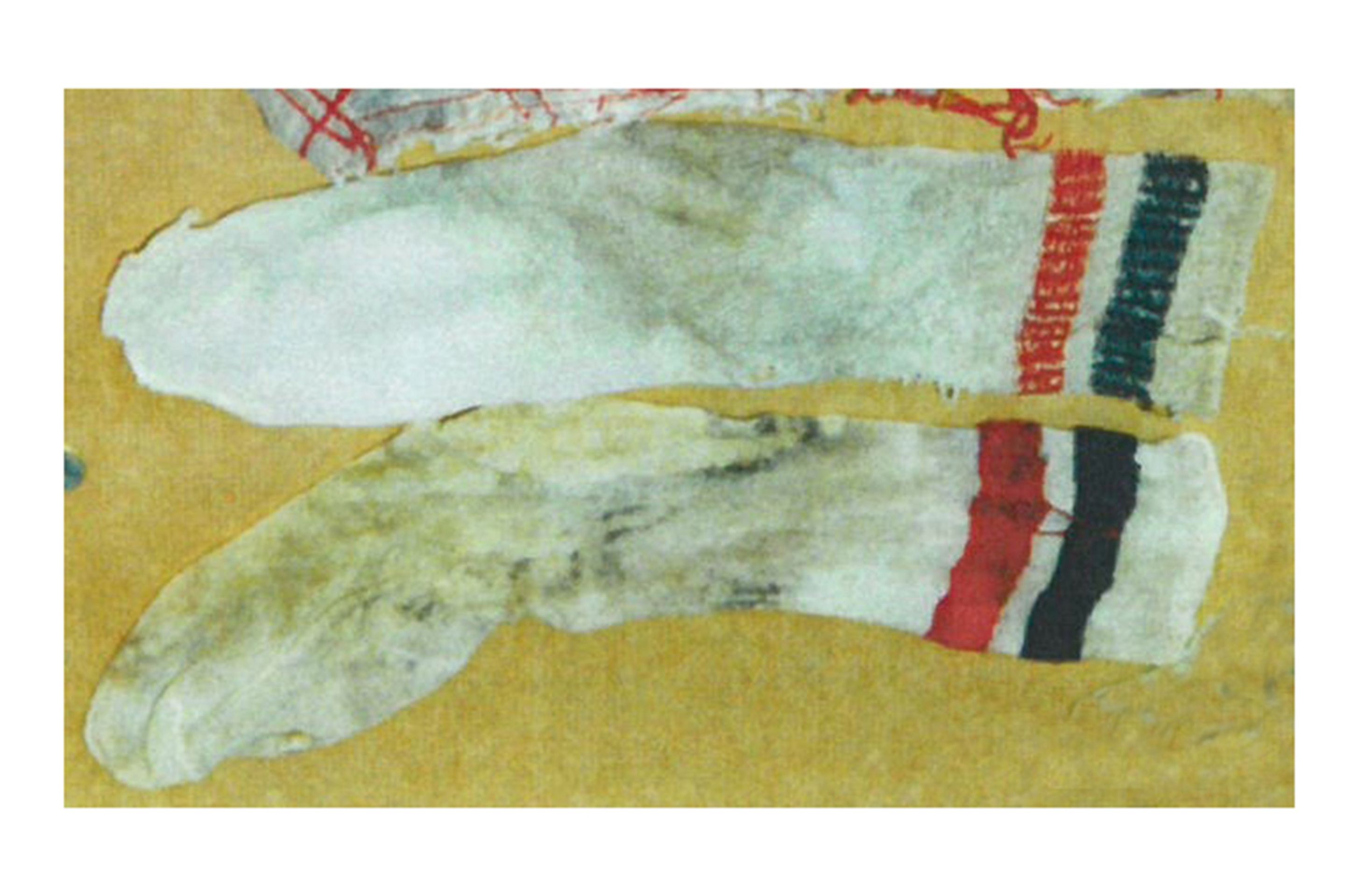 Žena nalezená v přehradě, 9. května 1996, Belgie, ponožky - Policie hledá identitu 22 zavražděných žen (81/120)