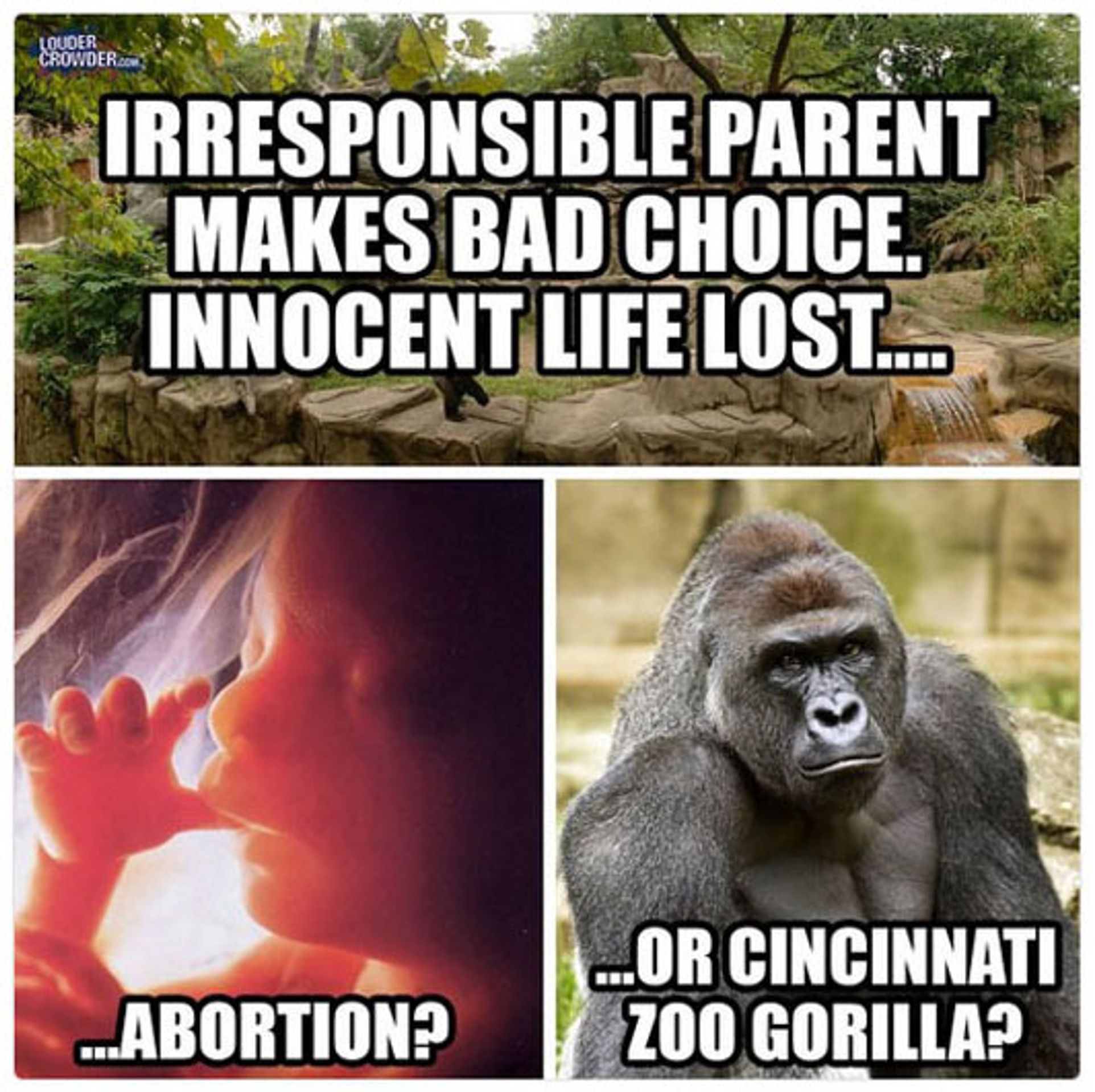 Harambe - 3 - GALERIE: Harambe (2/3)