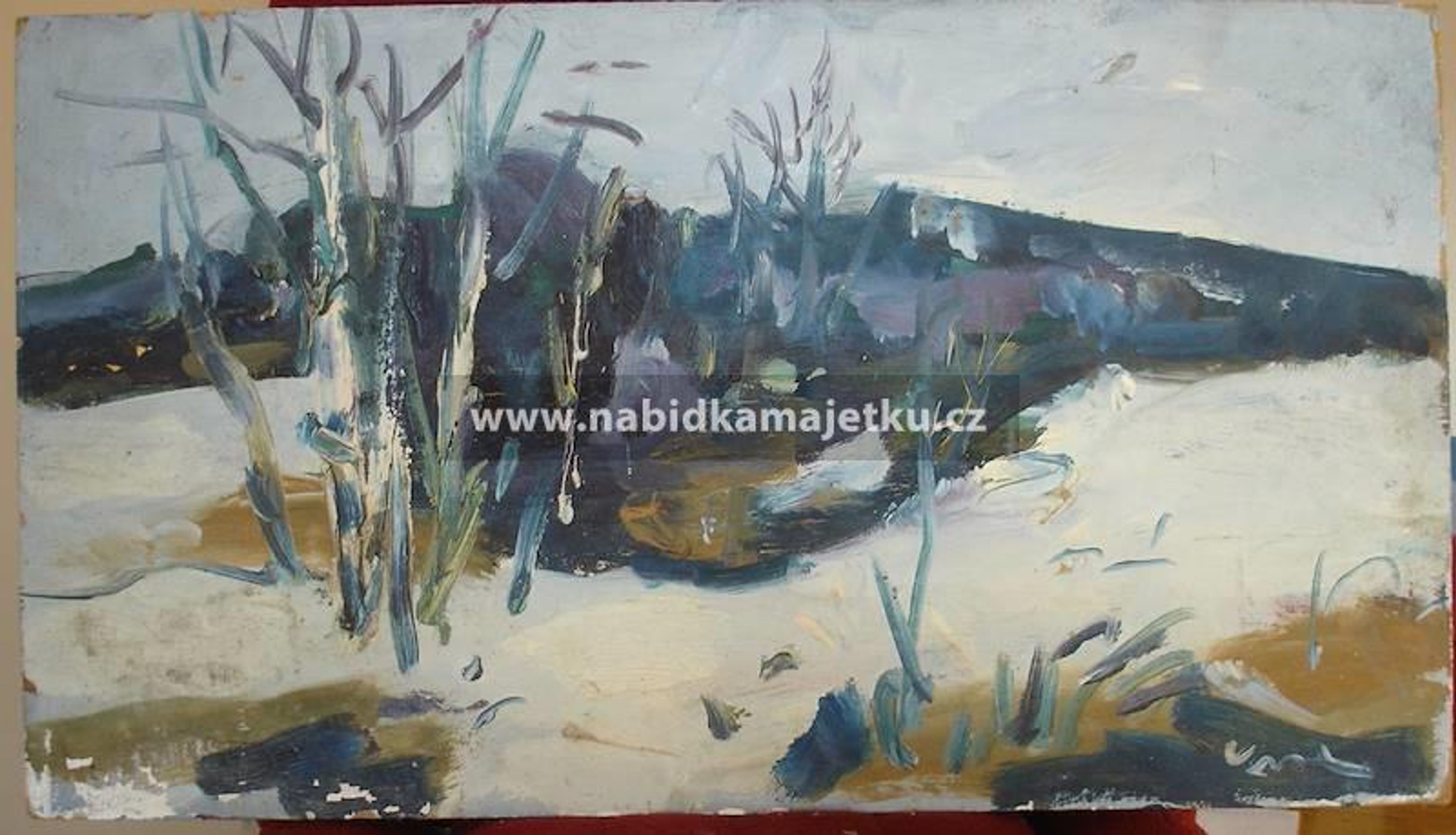 Obraz od Jaromíra Vrzala, Litoměřice - Stát rozprodává majetek (10/64)