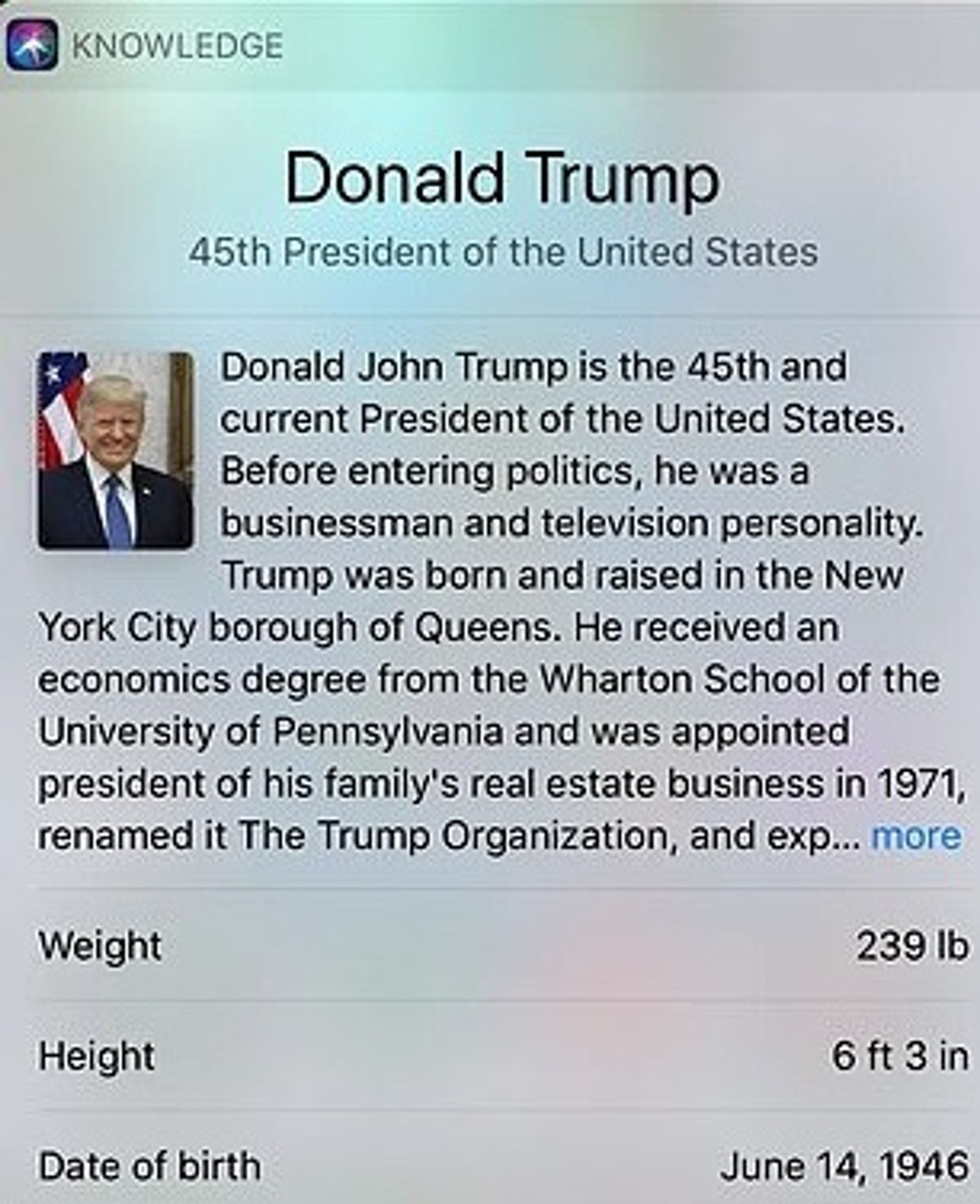Místo Trumpa ukazovala Wikipedie penis - 2 - GALERIE: Wikipedie místo Trumpa ukazovala penis (2/3)