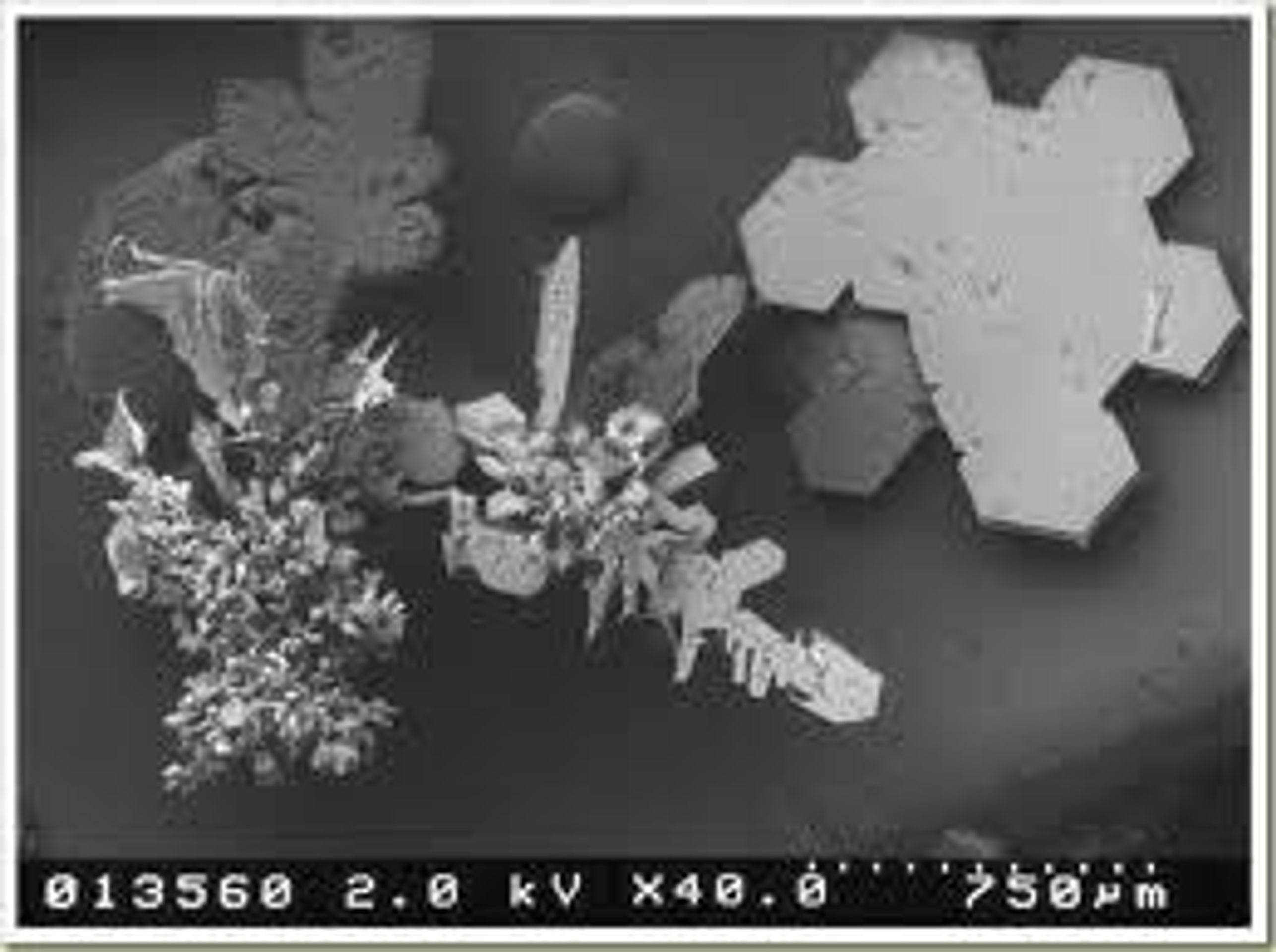 Vločka pod mikroskopem - 7 - GALERIE: Sněhová vločka pod mikroskopem (6/22)