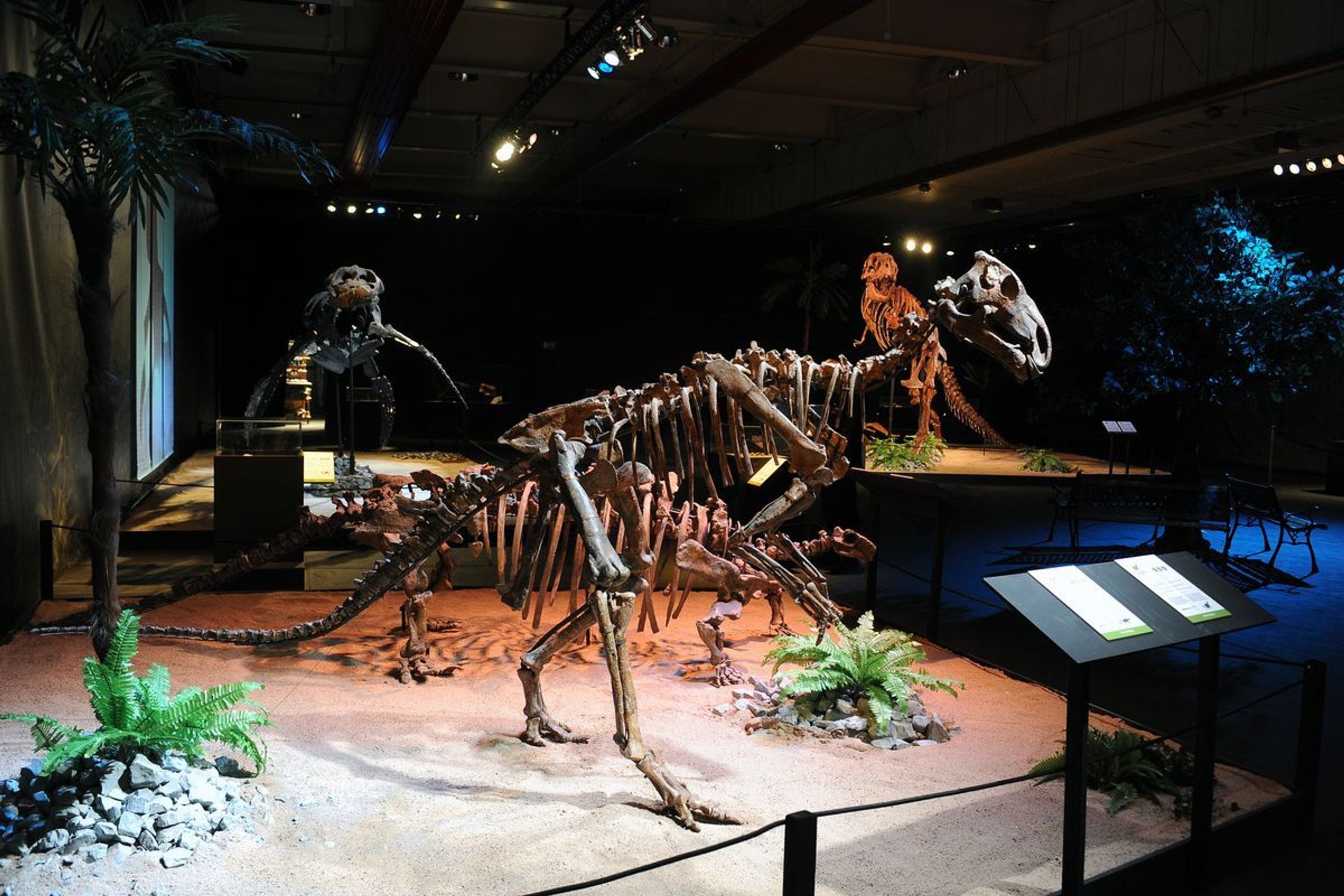 Výstava Dinosaurium - 14 - GALERIE: Výstava Dinosaurium (10/23)