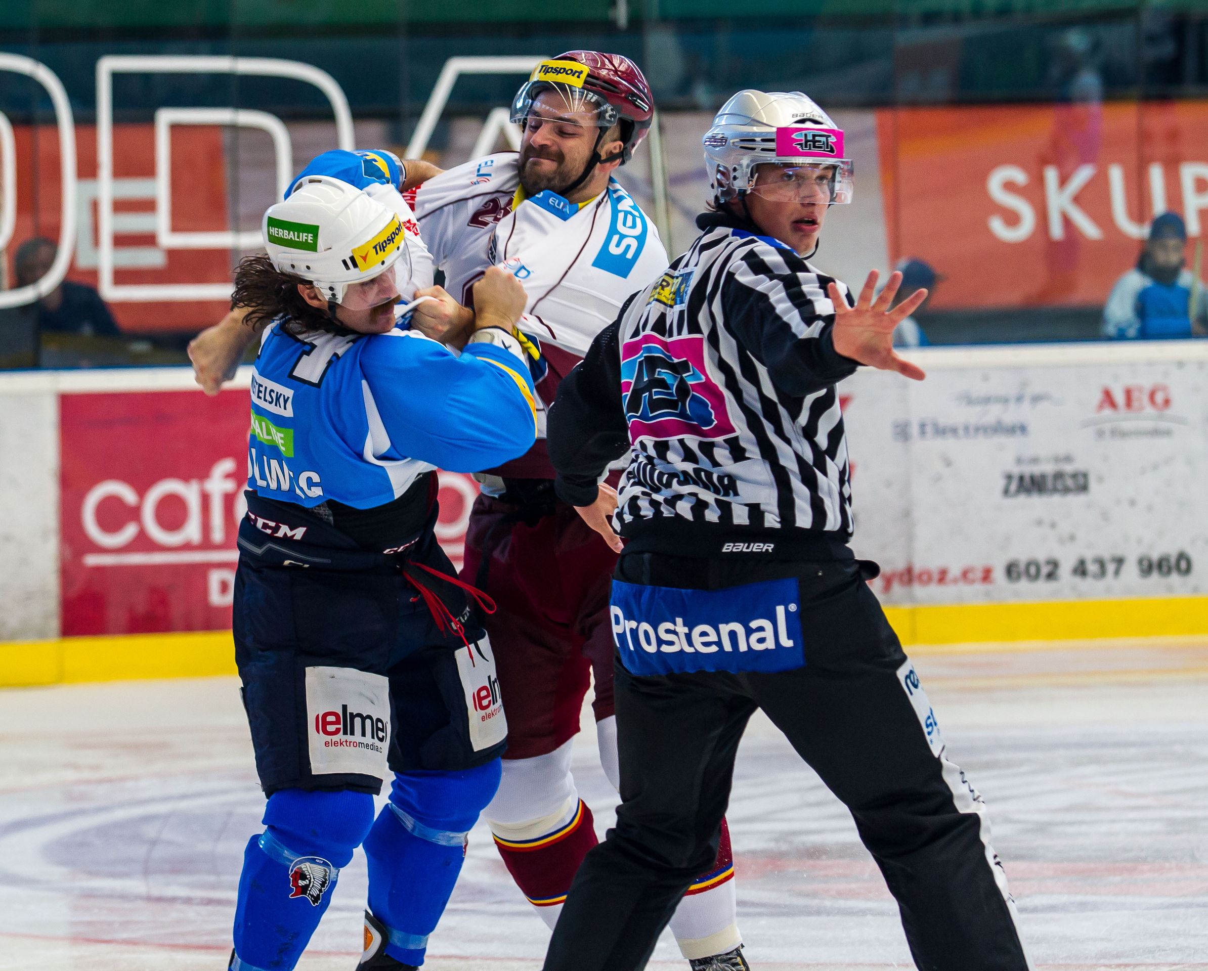 David Kočí vs. Ryan Hollweg, bitka z NHL v extralize - 7 - GALERIE: David Kočí vs. Ryan Hollweg (1/7)