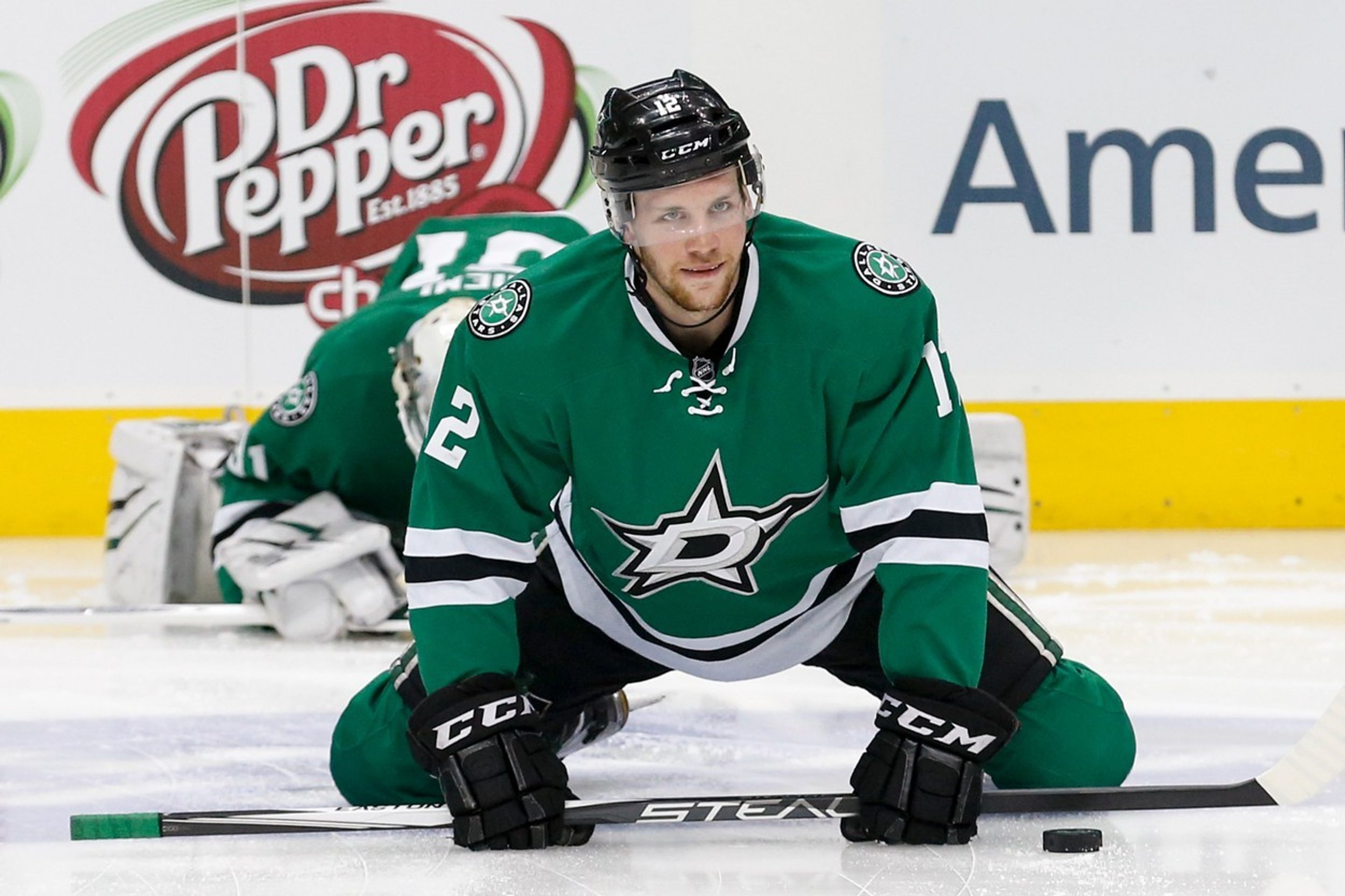 Radek Faksa - 3 - GALERIE: Radek Faksa (2/9)