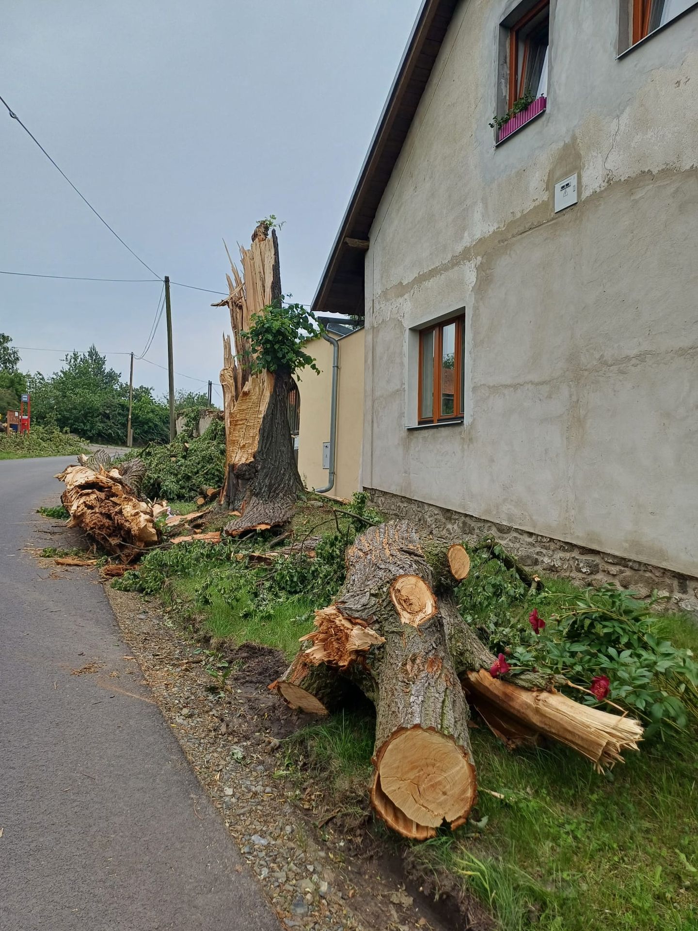 Sedlčany se vzpamatovávají z vichřice (8) - Sedlčany se vzpamatovávají z vichřice (4/38)