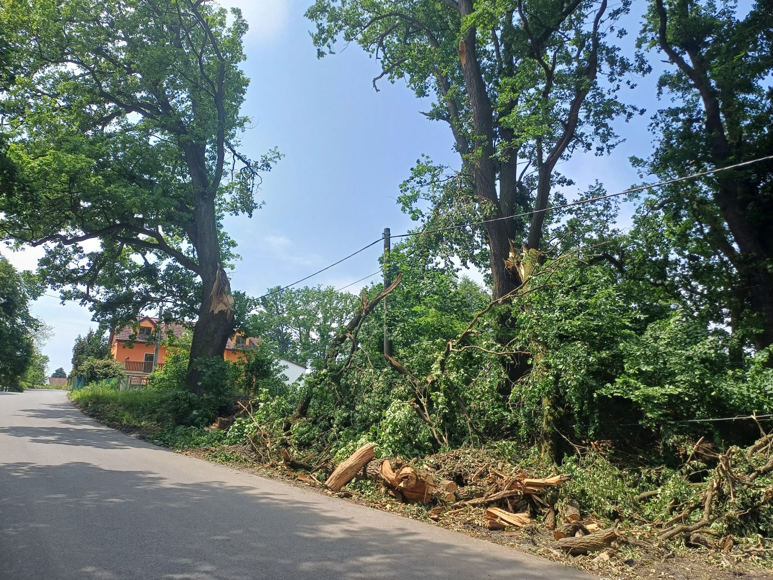 Sedlčany se vzpamatovávají z vichřice (4) - Sedlčany se vzpamatovávají z vichřice (12/38)