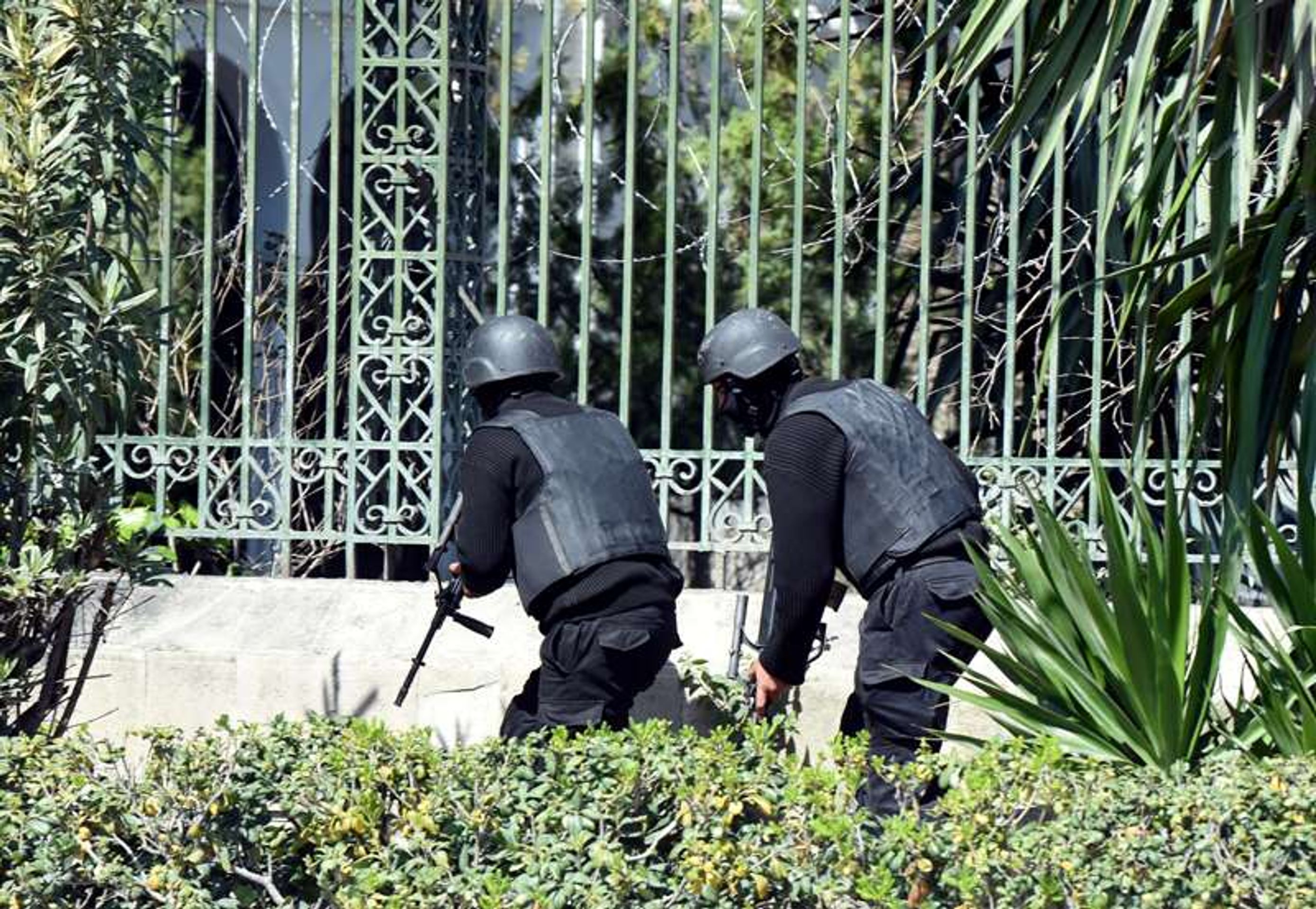 Útok na turisty v Tunisku - GALERIE: Útok na turisty v Tunisku (7/17)