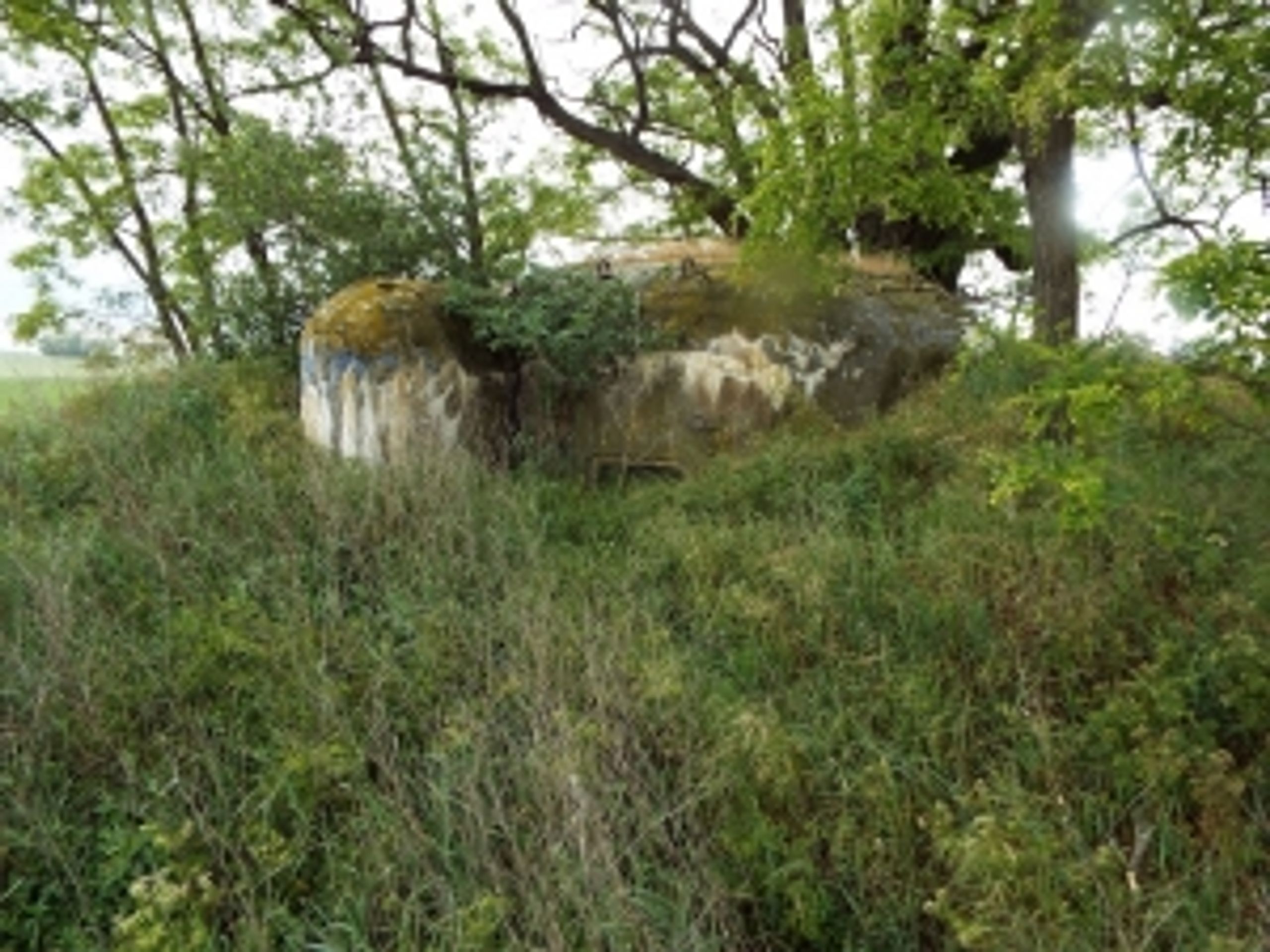Nabídka nemovitého majetku - bunkr s pozemkem („řopík“) SLO VEČ 712OL, Mikulov - GALERIE: Nabídka nemovitého majetku (33/45)