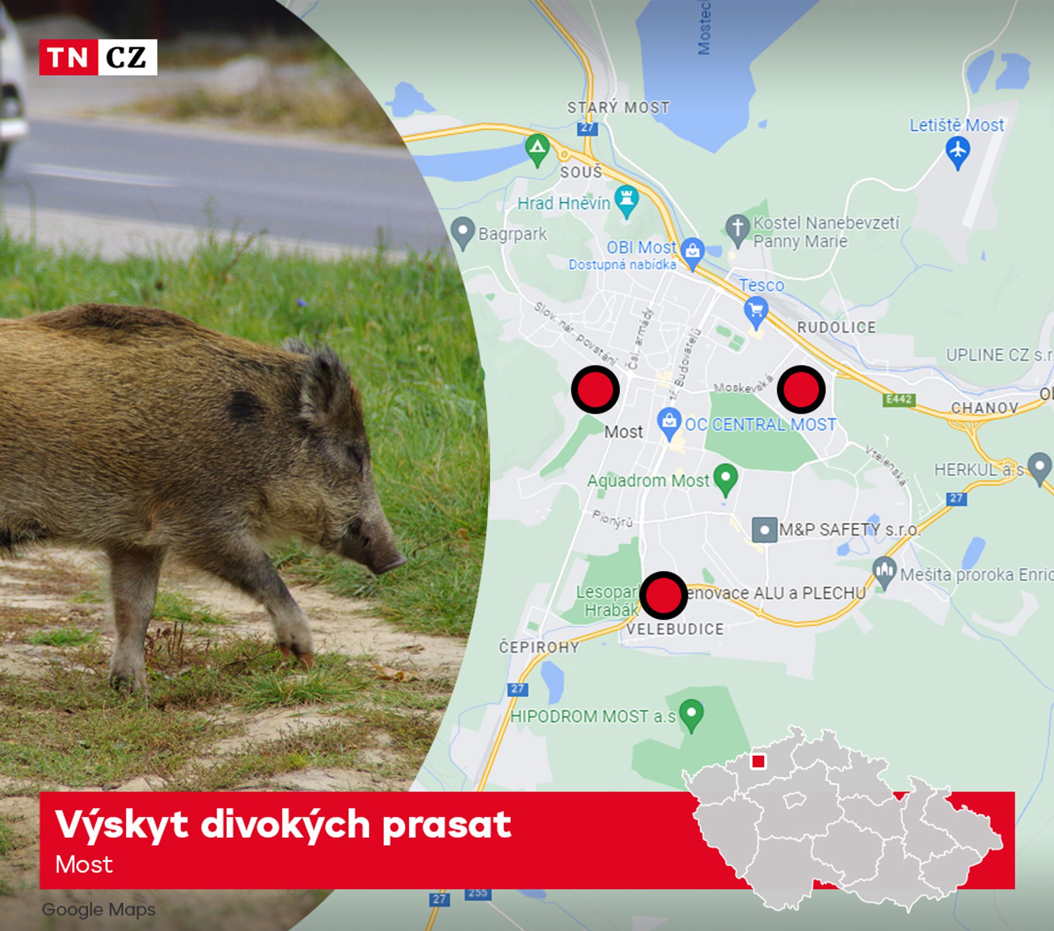 MAPA - Most - Výskyt divokých prasat - Mapa výskytu divokých prasat (1/4)