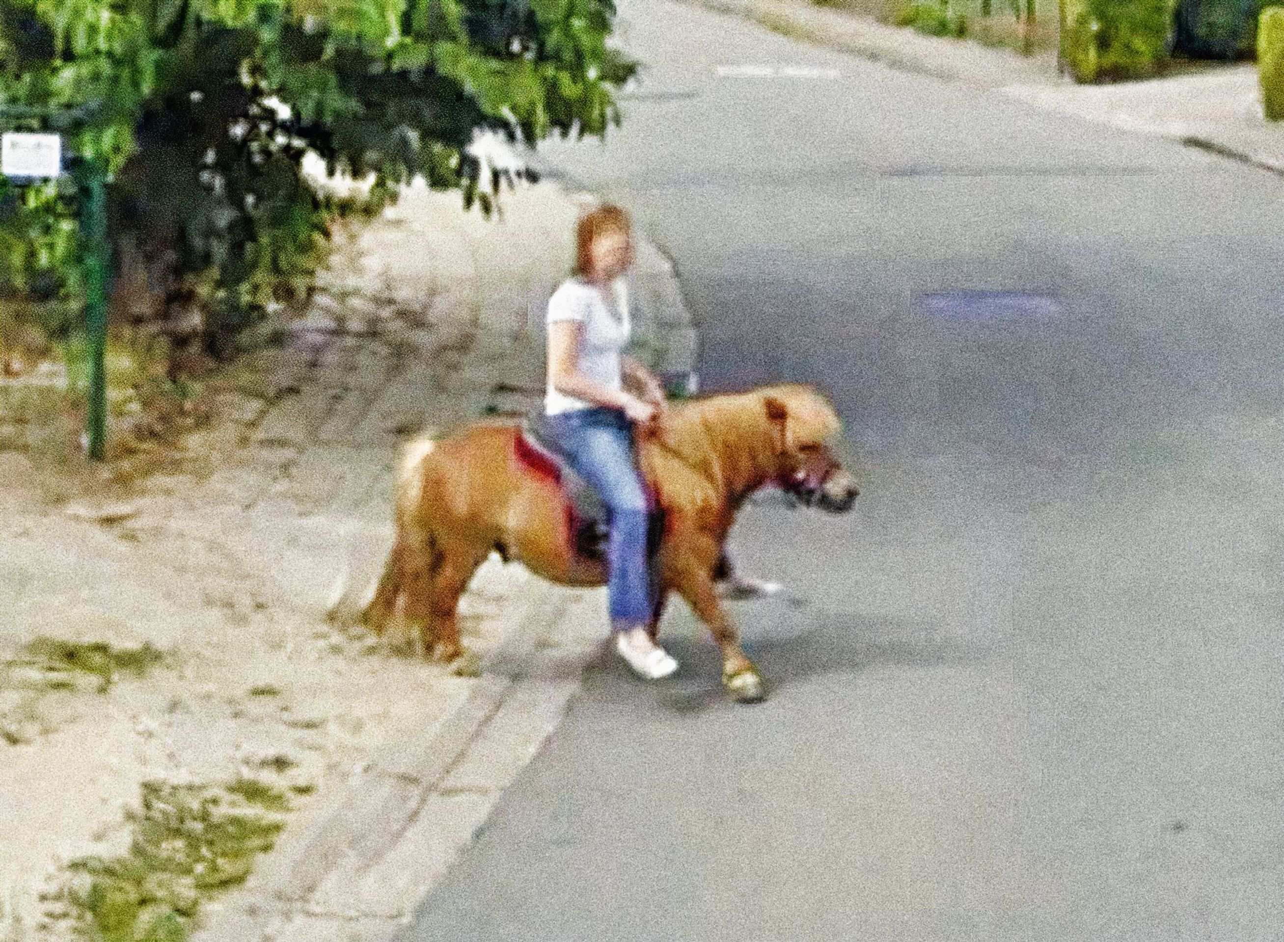 Na Stree View lze najít ledacos - Zajímavosti na Street view (31/47)