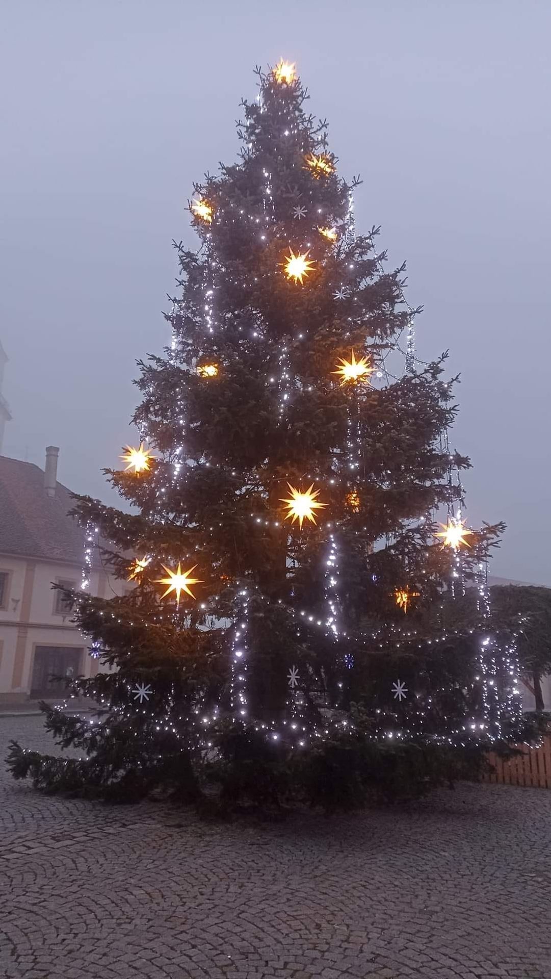 Vánoční stromek v Rokycanech u Plzně - Pěkné vánoční stromky (8/11)