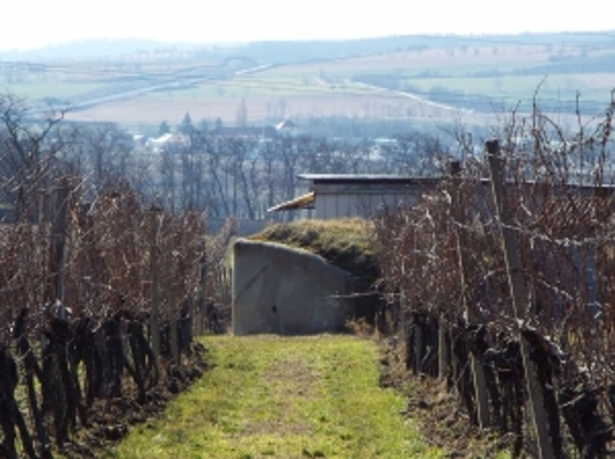 Mikulov – bunkr s pozemkem_řopík SLO VEČ 730OL - GALERIE: Ministerstvo se zbavuje majetku (6/7)