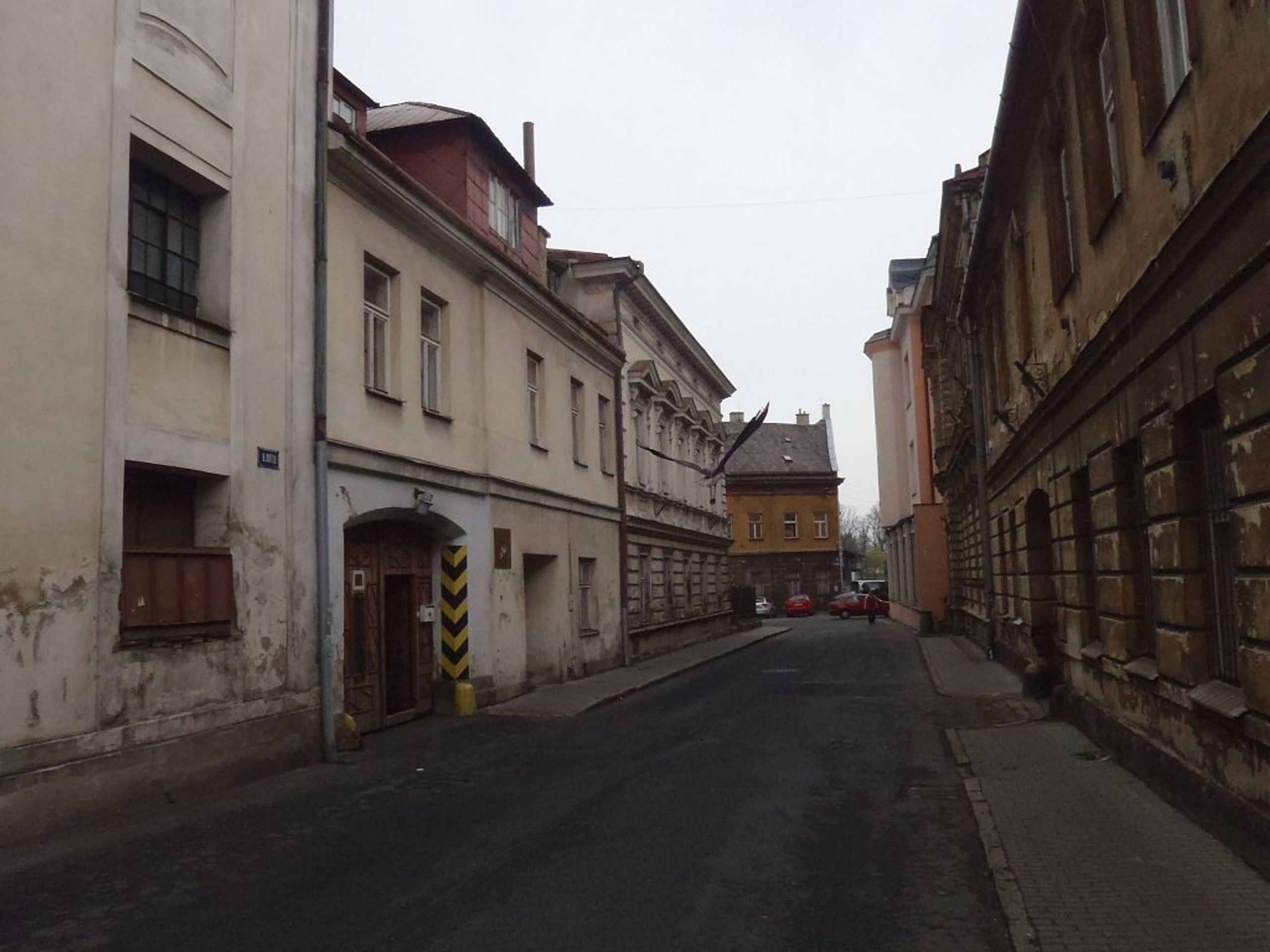 záchrana čápa - Záchrana čápa Bruntál (1/4)