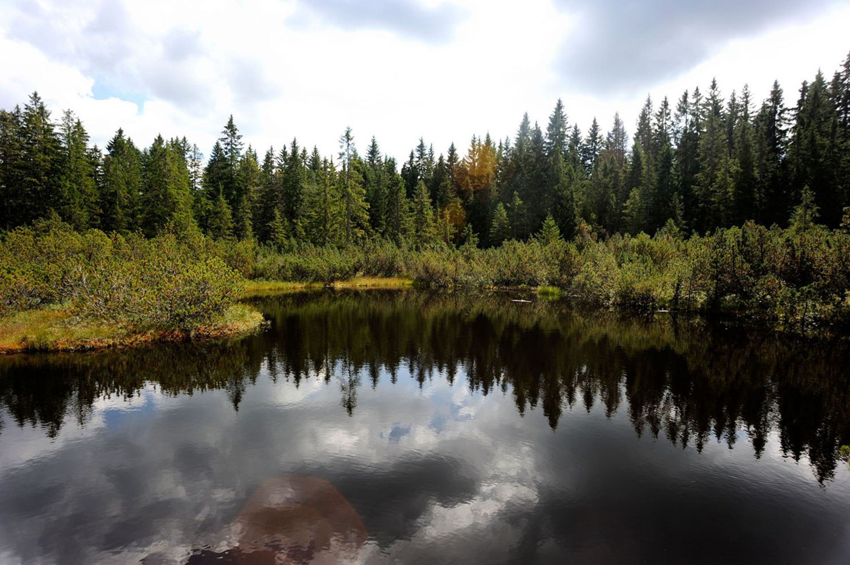 Národní park Šumava - Zajímavá místa v České republice (13/20)
