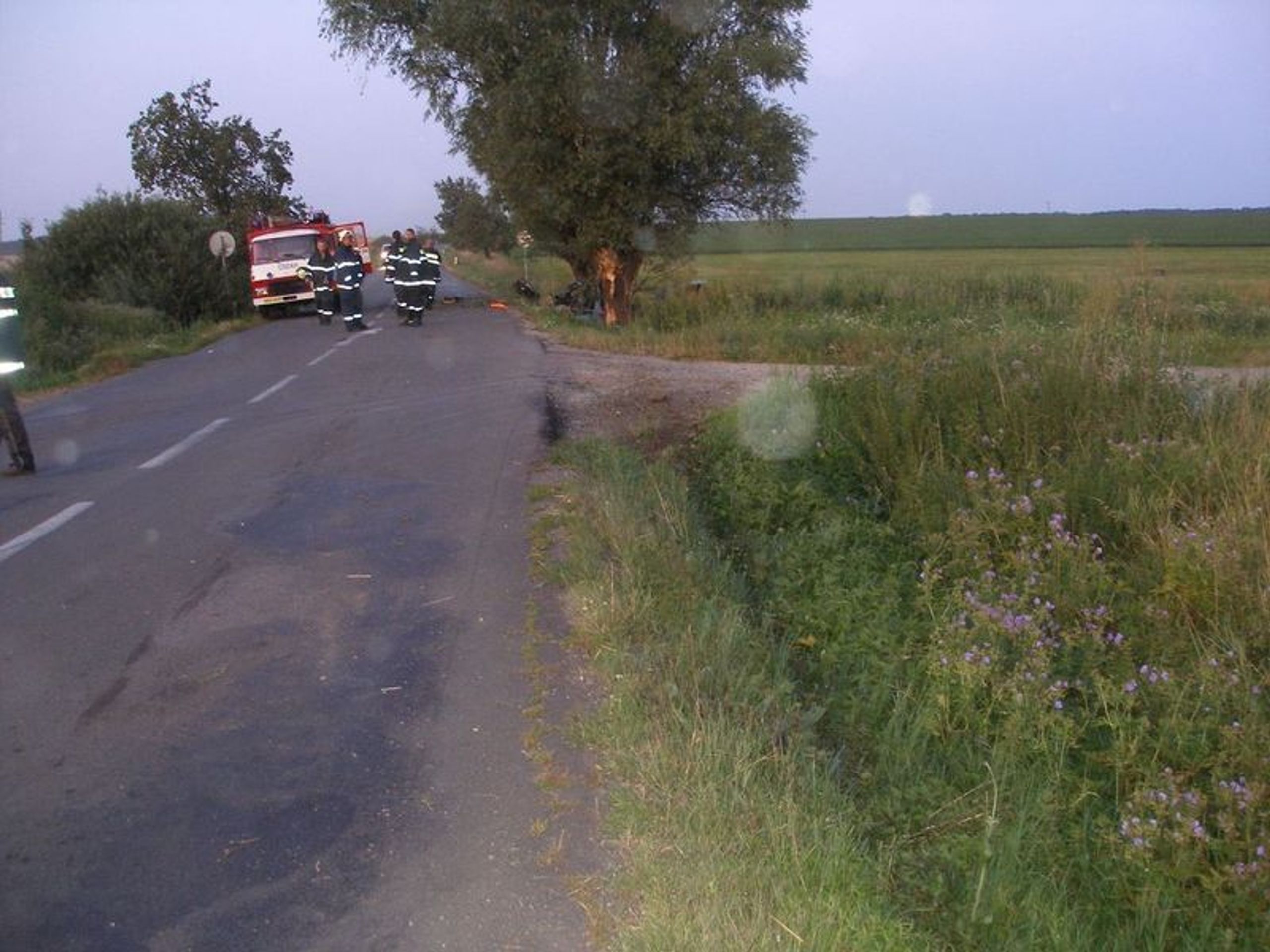 Auto se po nárazu do stromu rozpůlilo-8 - GALERIE: Auto se rozpůlilo o strom (8/9)